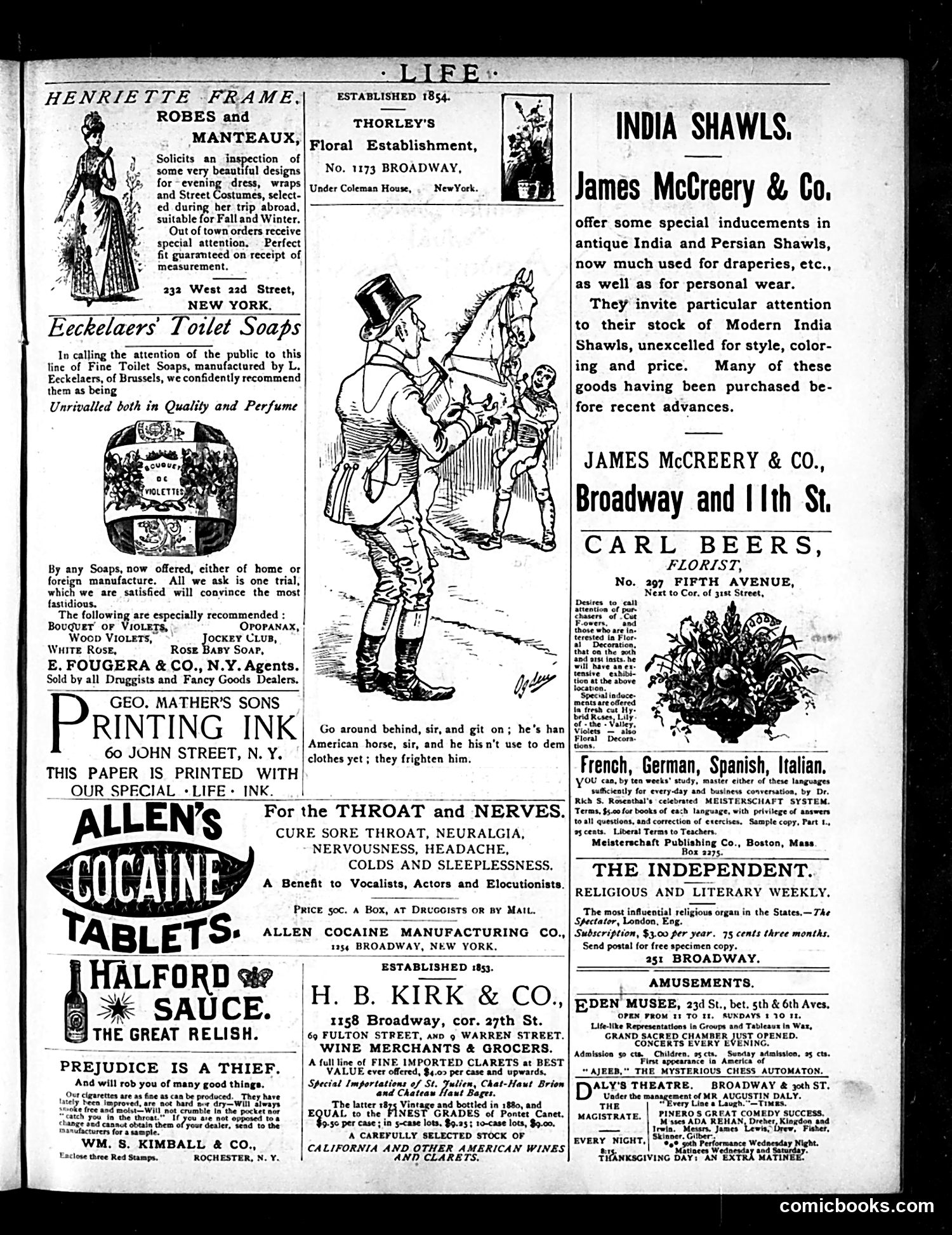 Life — November 19, 1885 — page 15 of 18