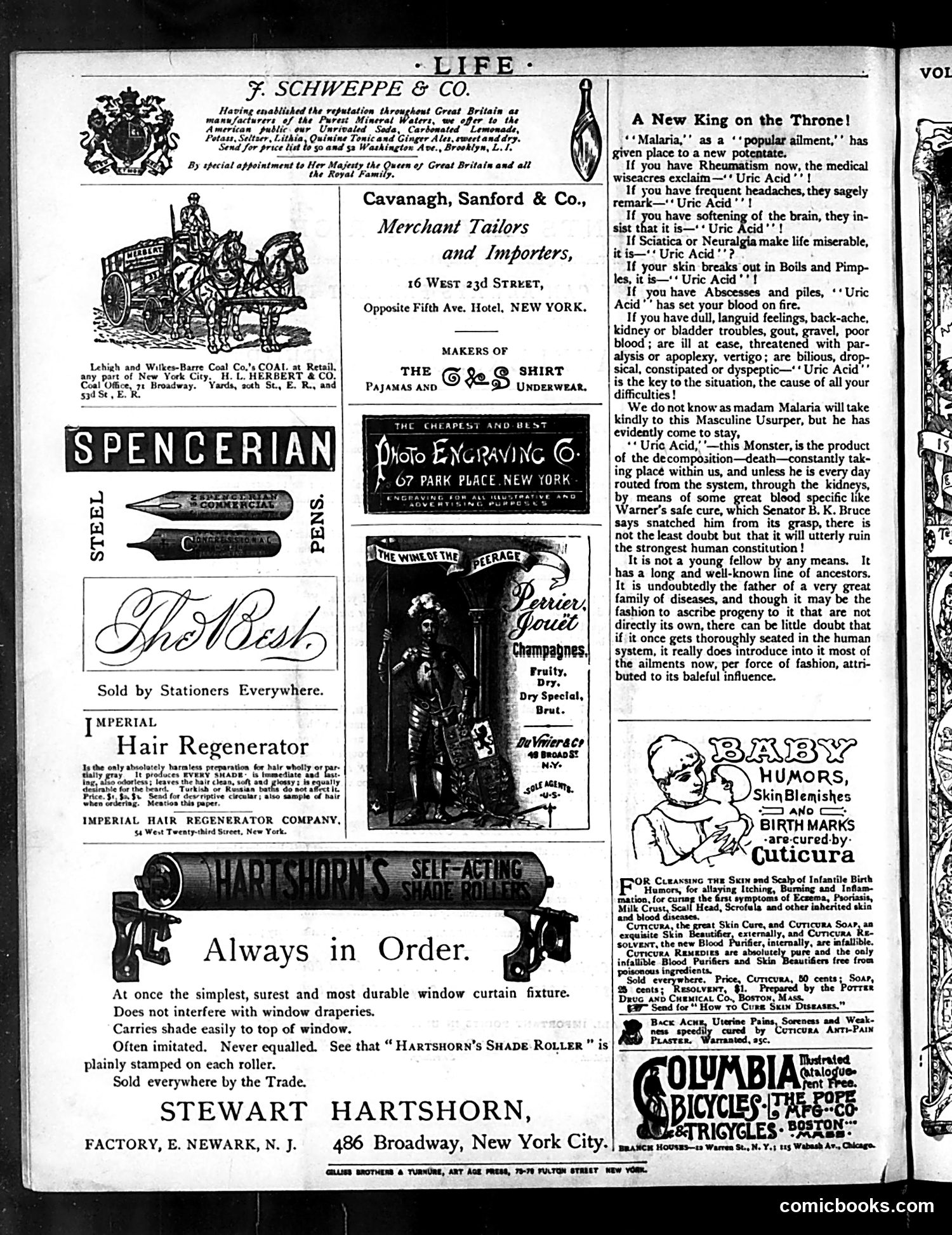 Life — November 19, 1885 — page 18 of 18