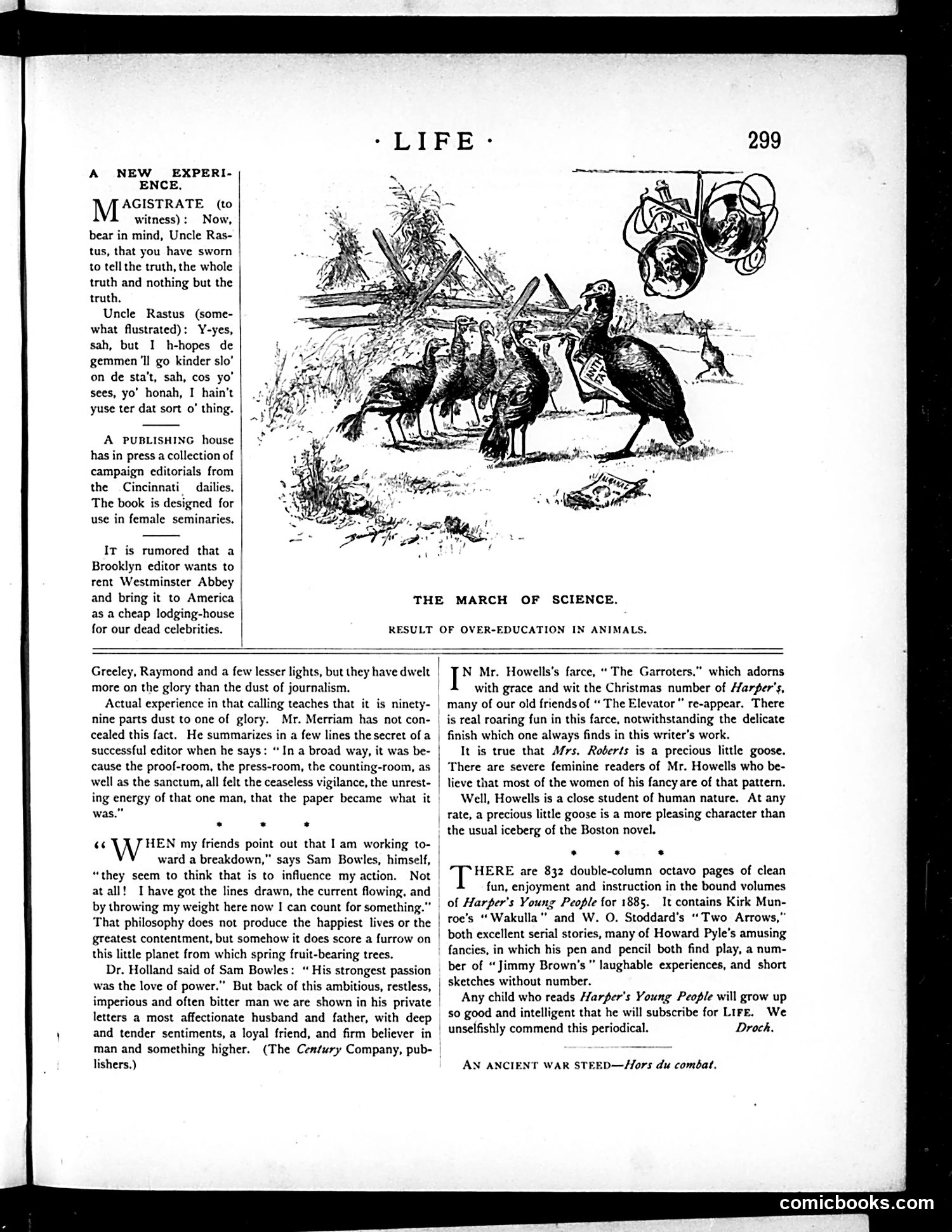 Life — November 26, 1885 — page 5 of 16