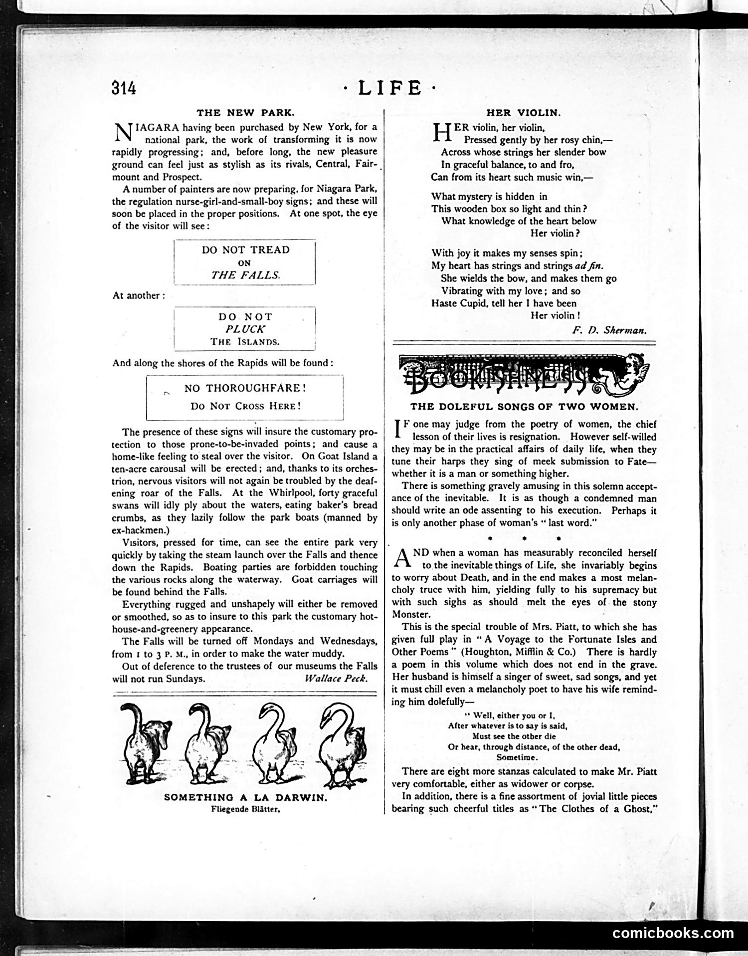 Life — December 3, 1885 — page 6 of 16