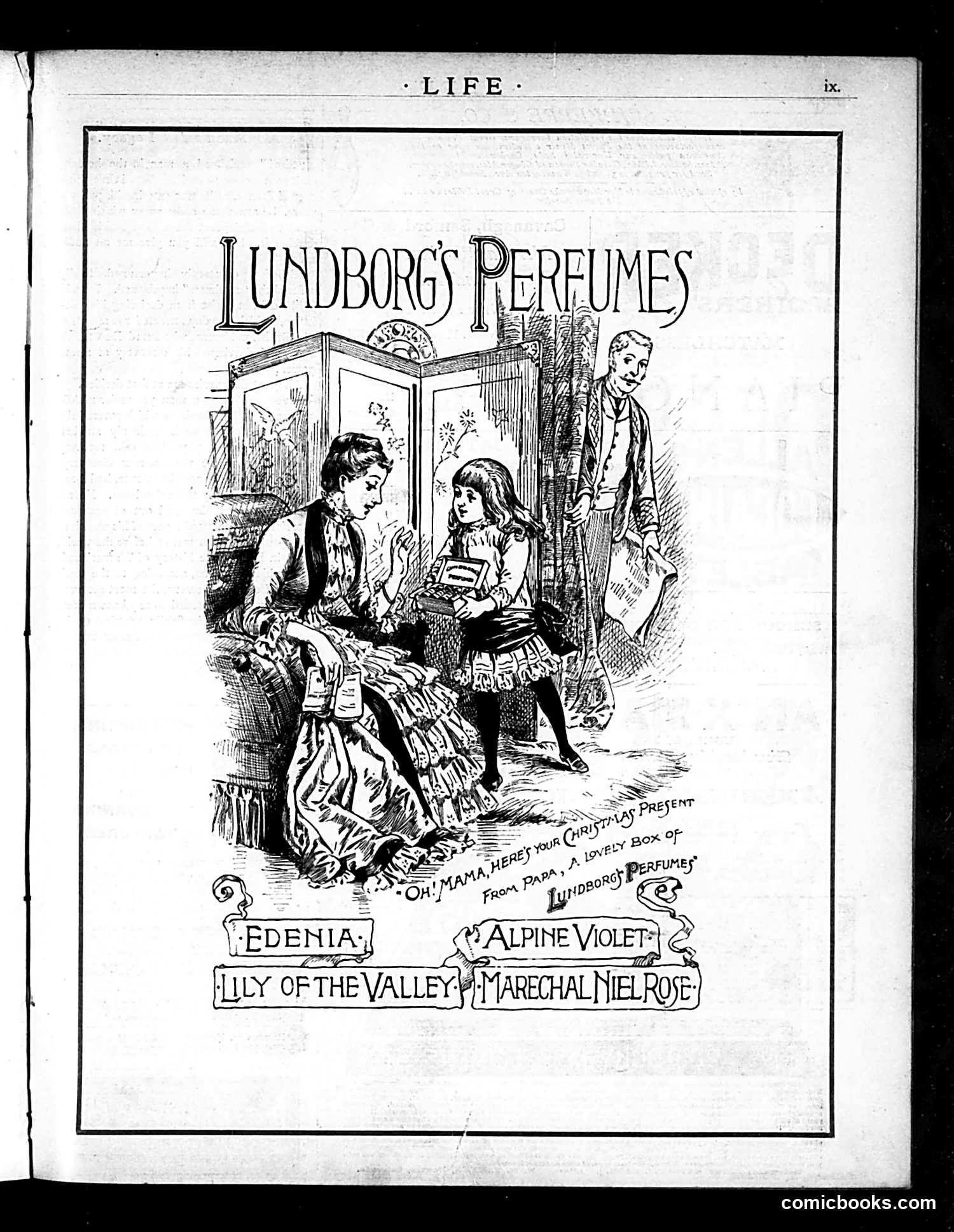 Life — December 10, 1885 — page 31 of 34