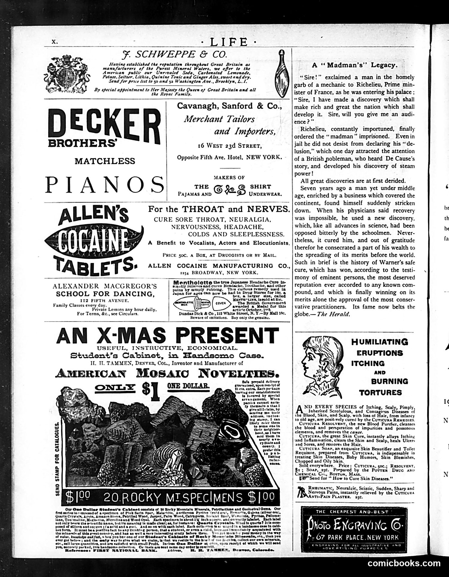 Life — December 10, 1885 — page 32 of 34