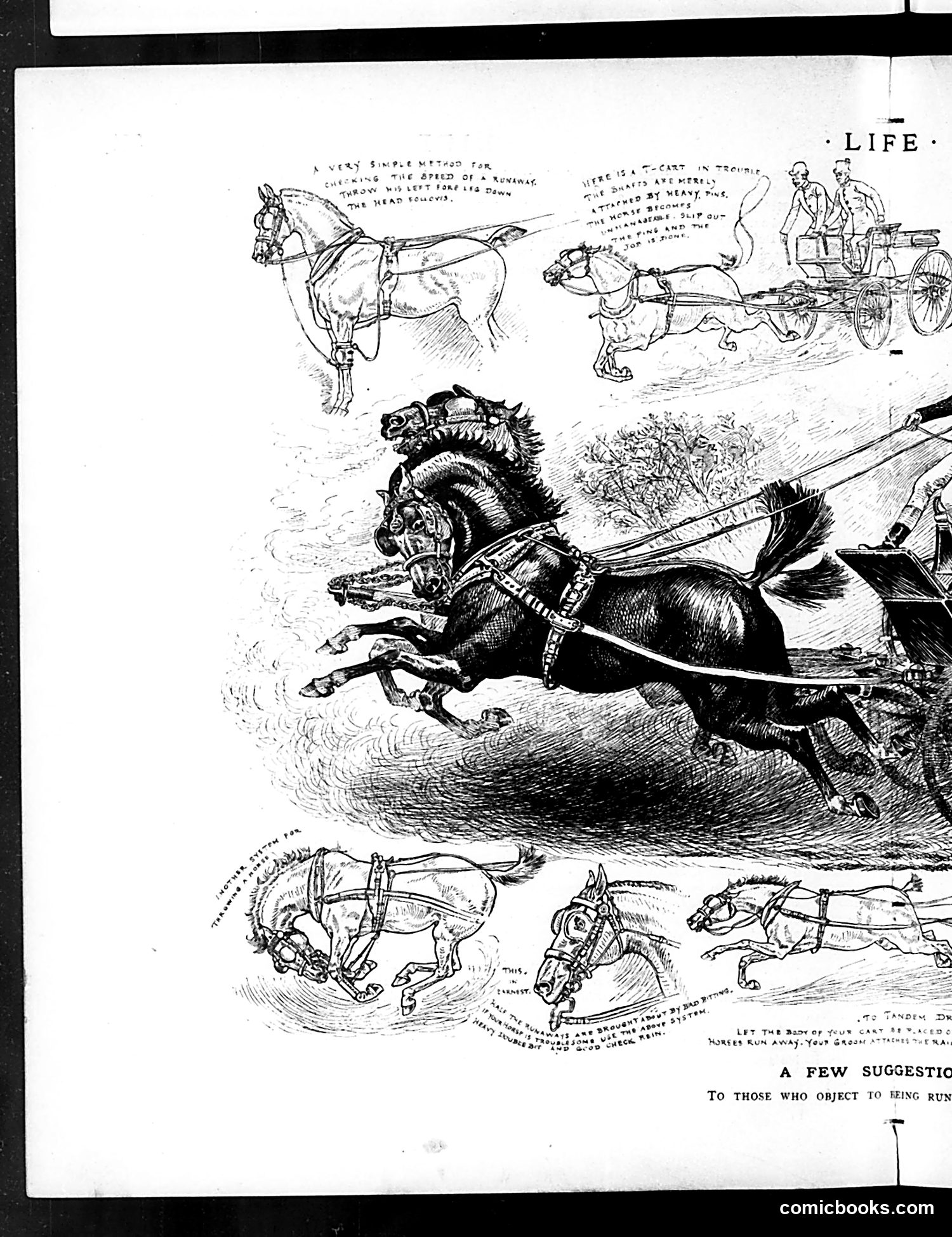 Life — December 17, 1885 — page 8 of 18