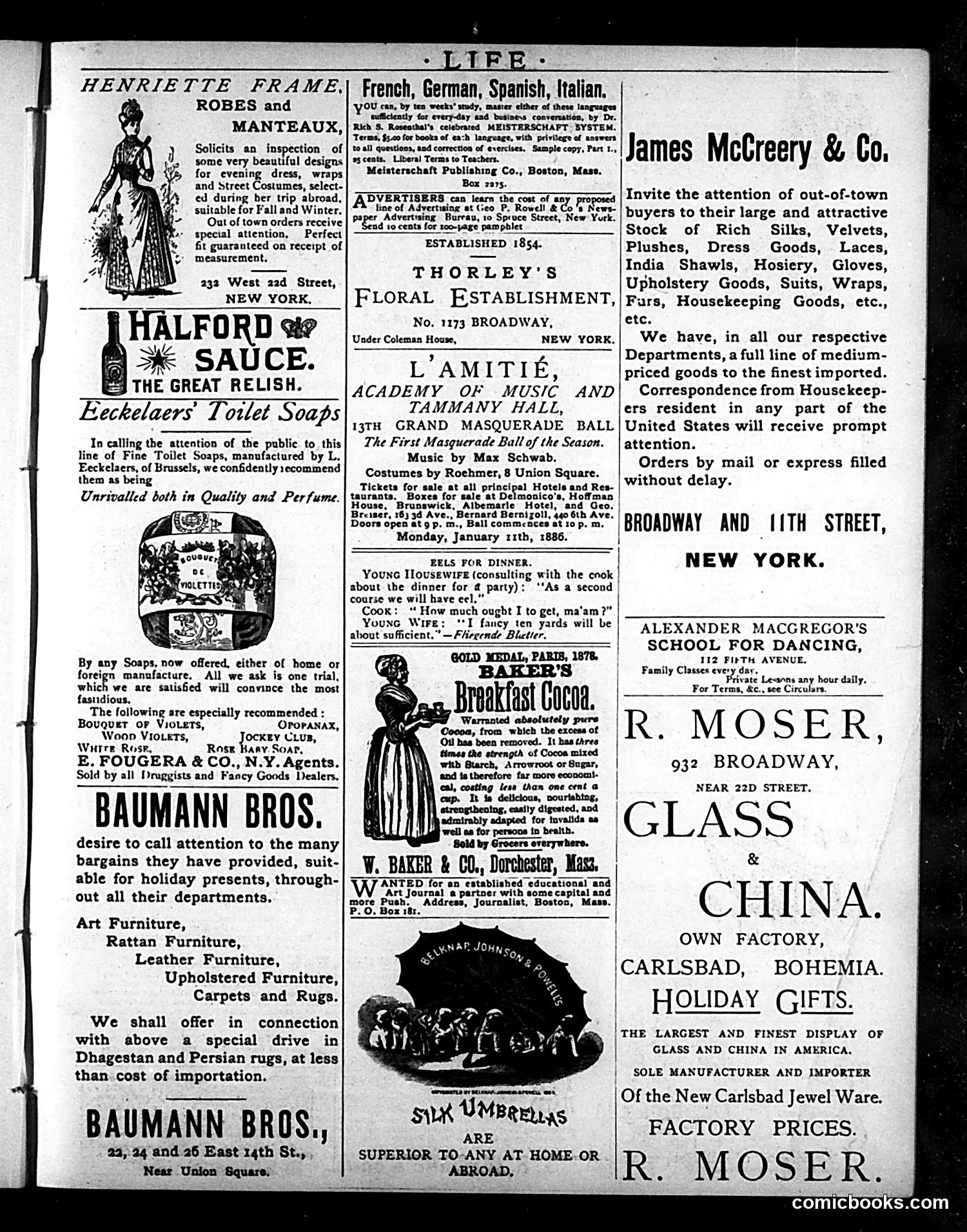 Life — January 1, 1886 — page 15 of 16