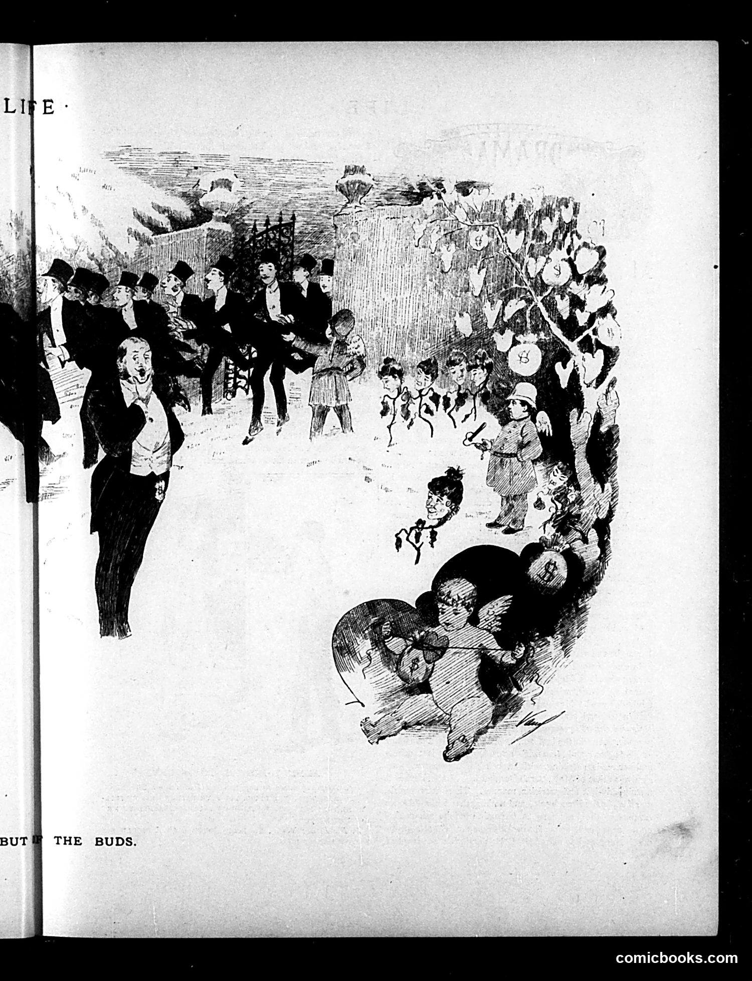 Life — January 14, 1886 — page 9 of 16