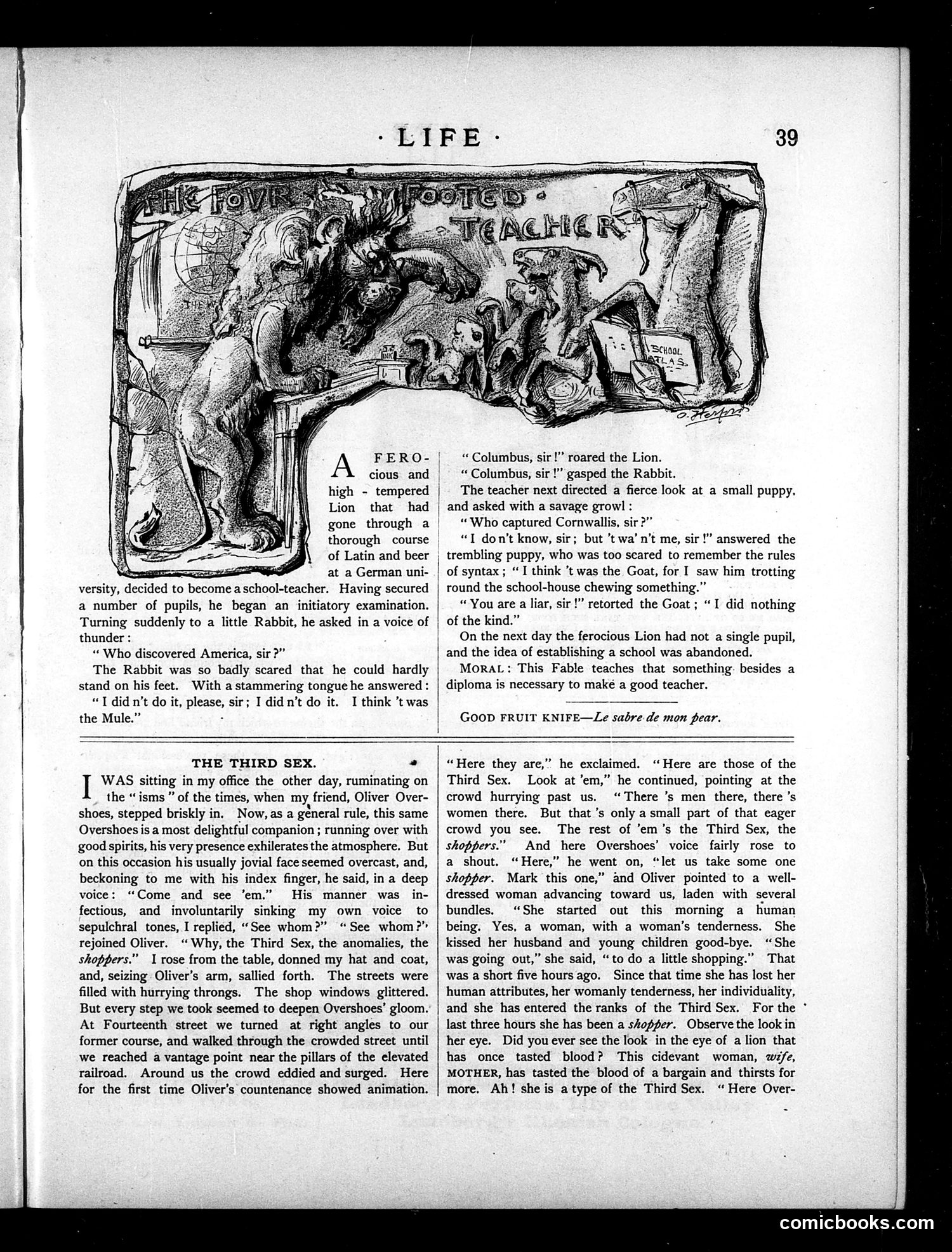 Life — January 14, 1886 — page 11 of 16