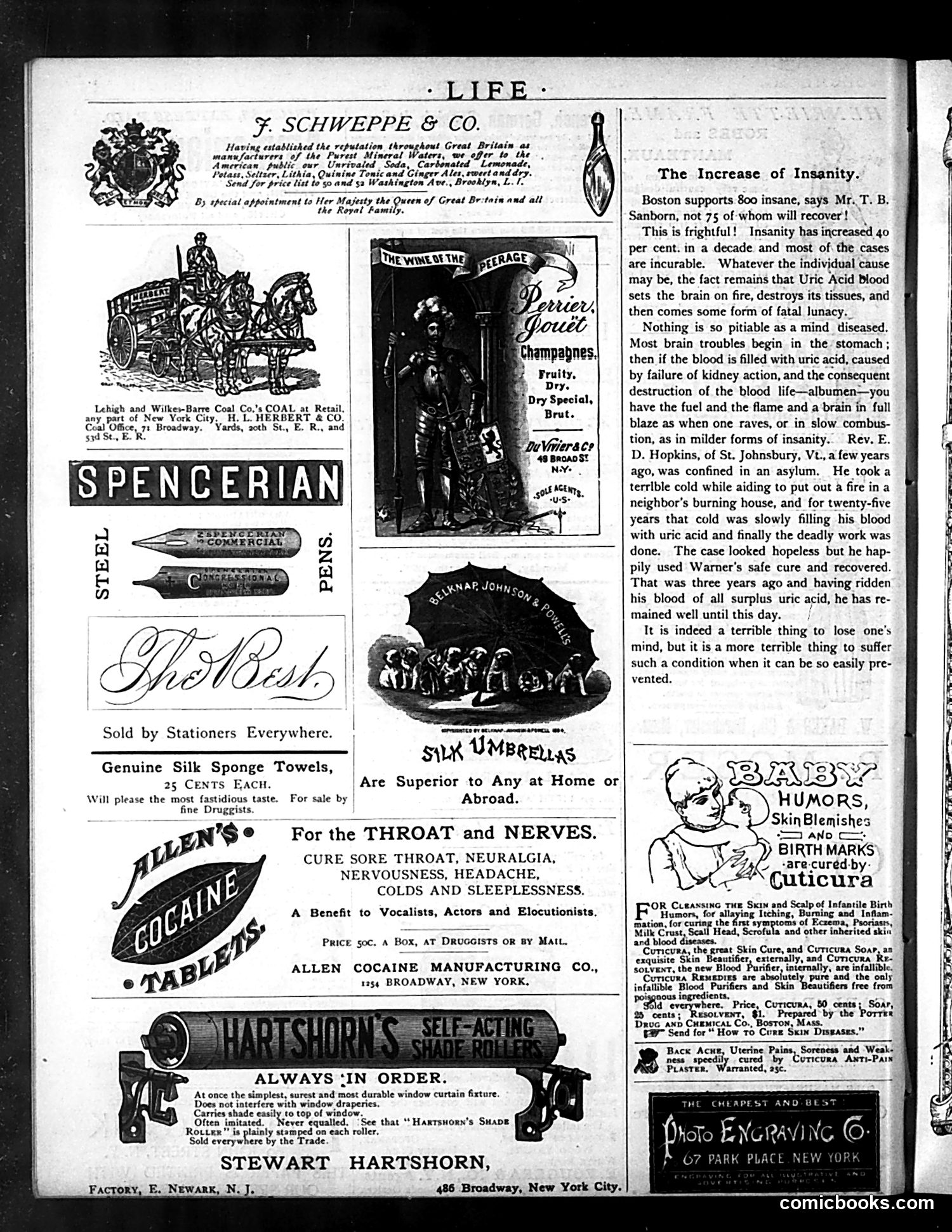 Life — January 14, 1886 — page 16 of 16