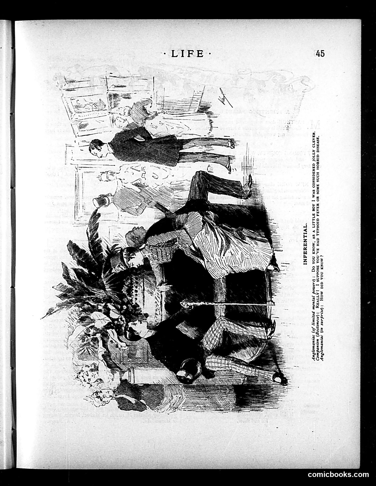 Life — January 21, 1886 — page 3 of 16