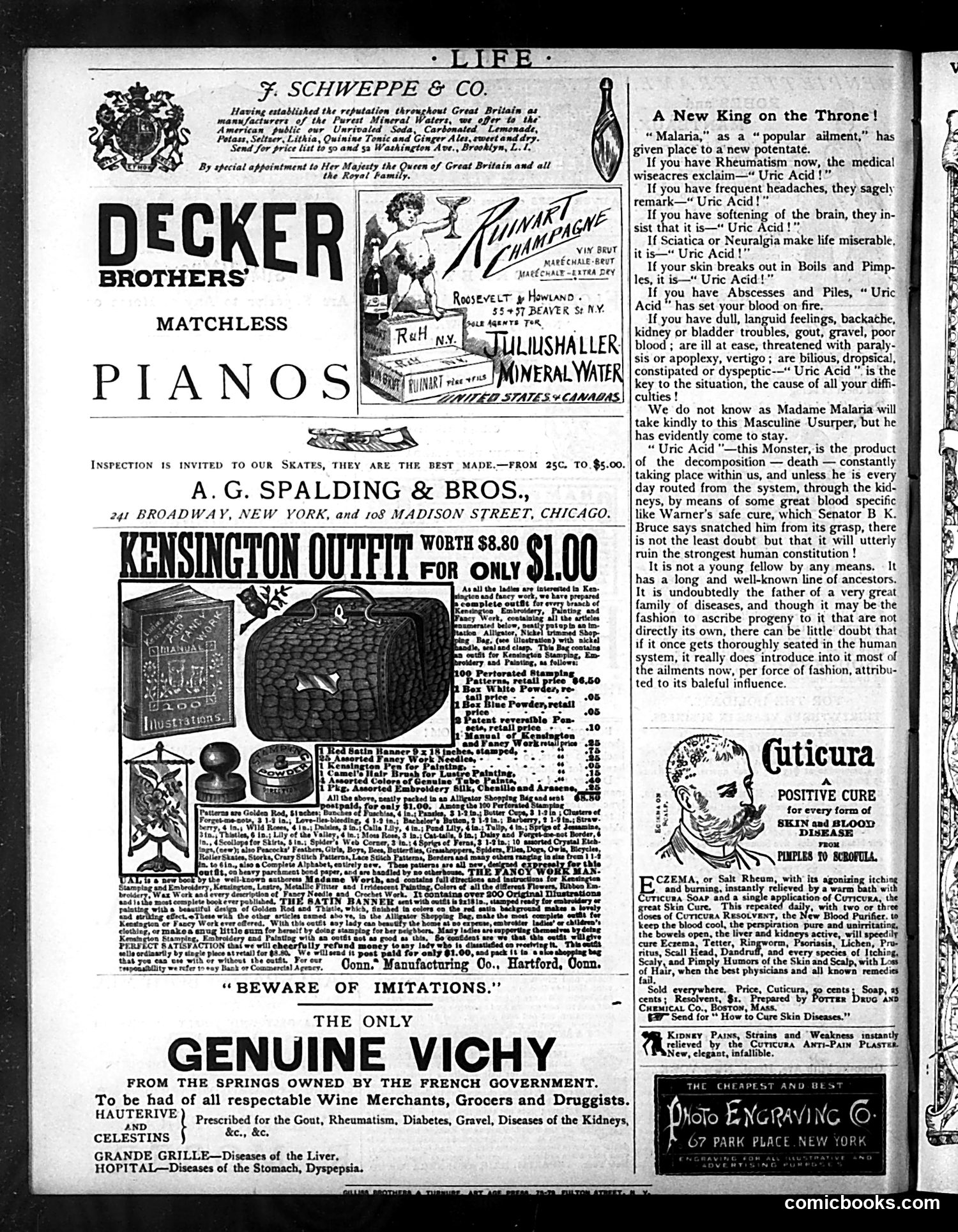 Life — January 21, 1886 — page 16 of 16