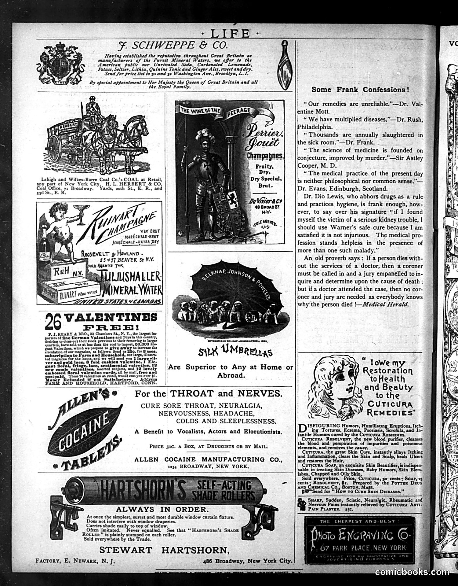 Life — January 28, 1886 — page 16 of 16