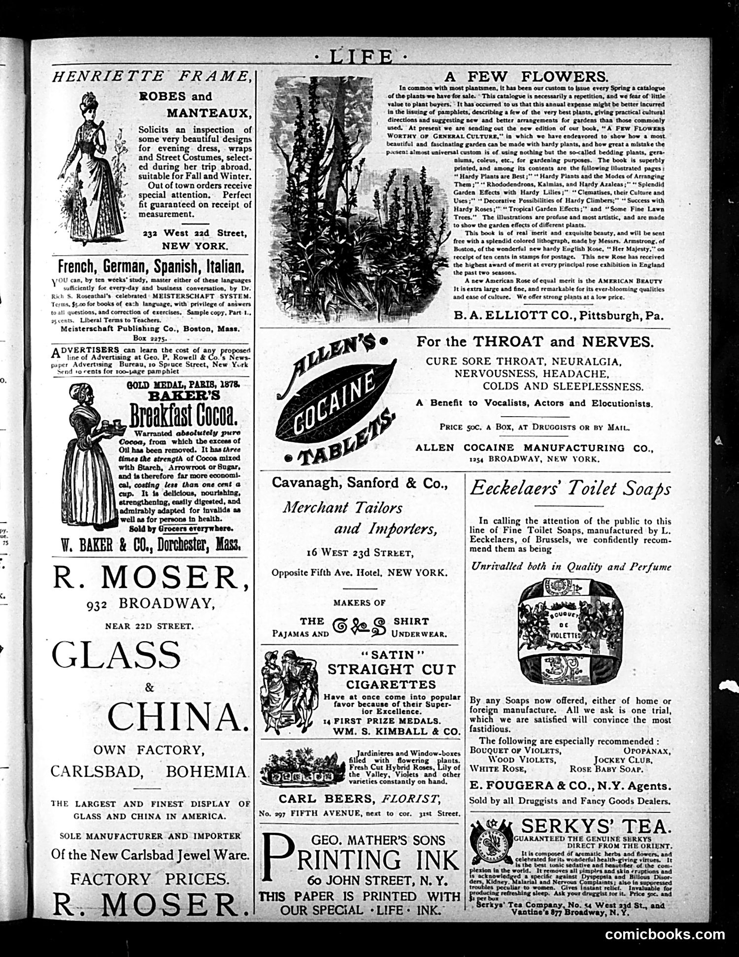 Life — February 11, 1886 — page 15 of 16