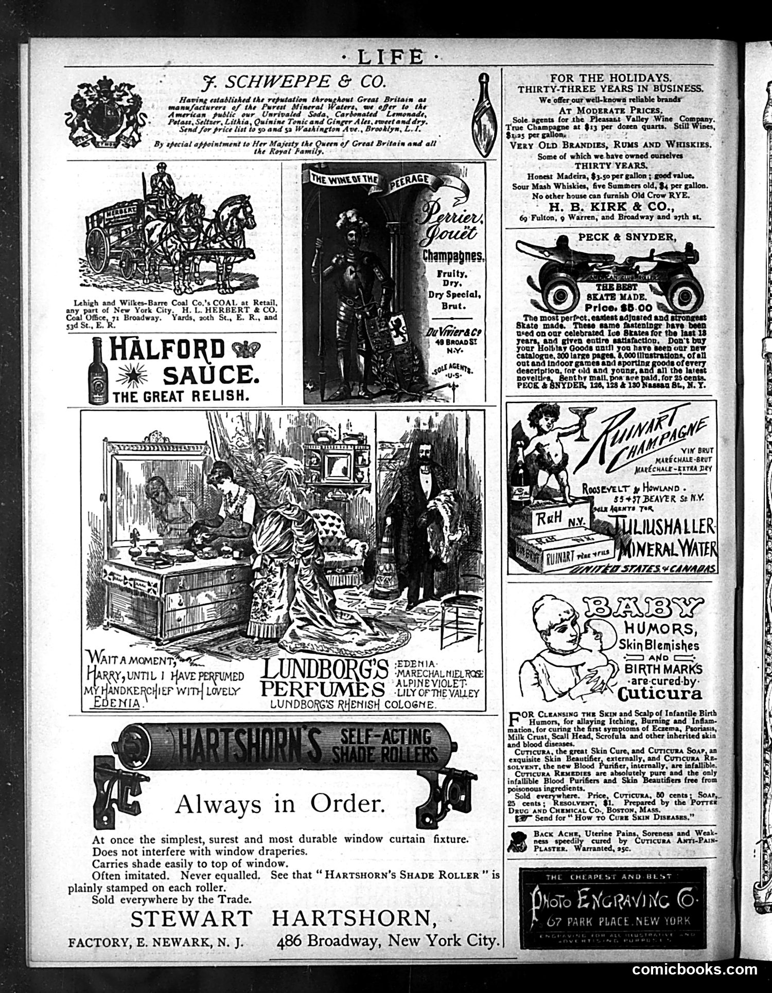 Life — February 11, 1886 — page 16 of 16