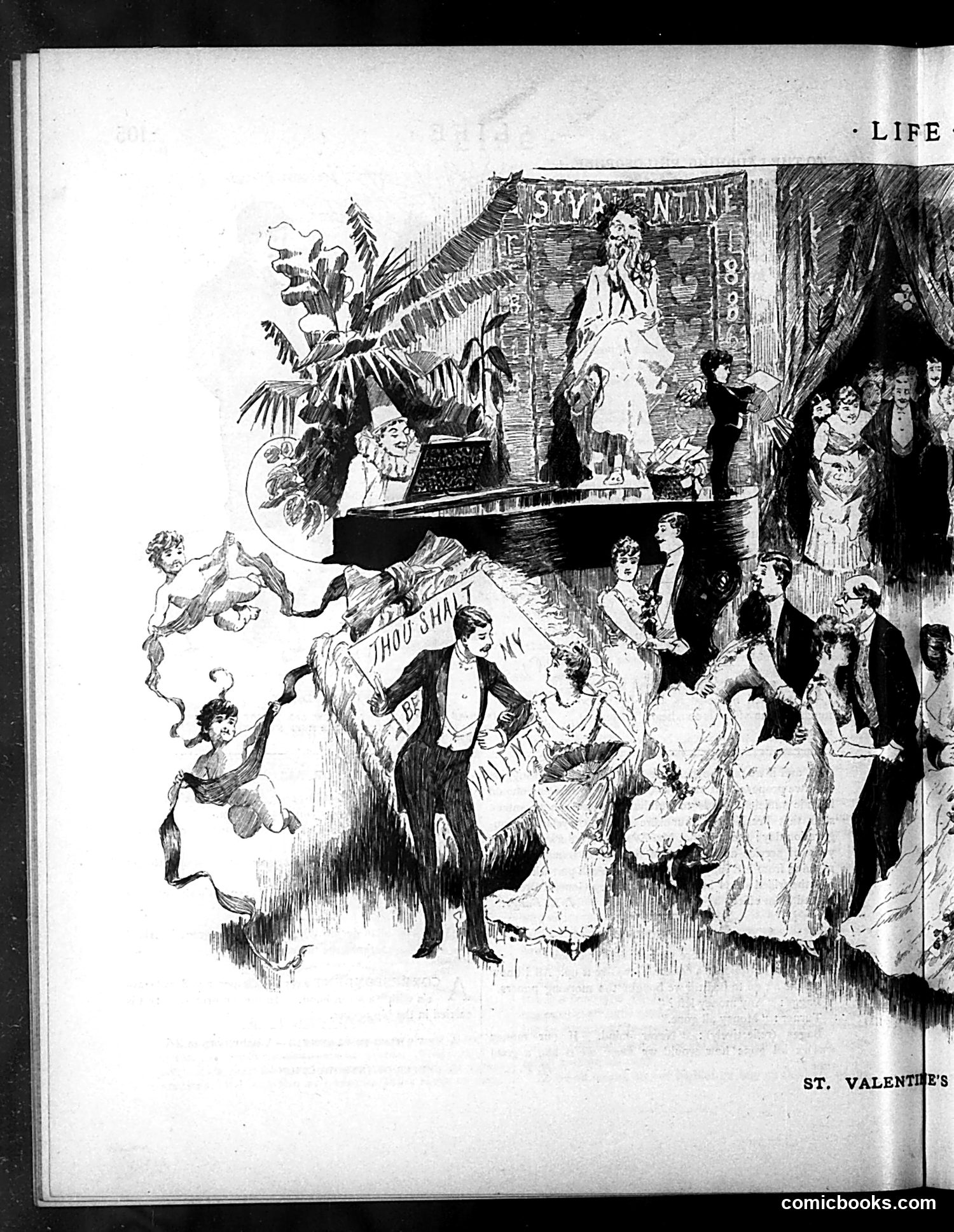 Life — February 18, 1886 — page 8 of 16