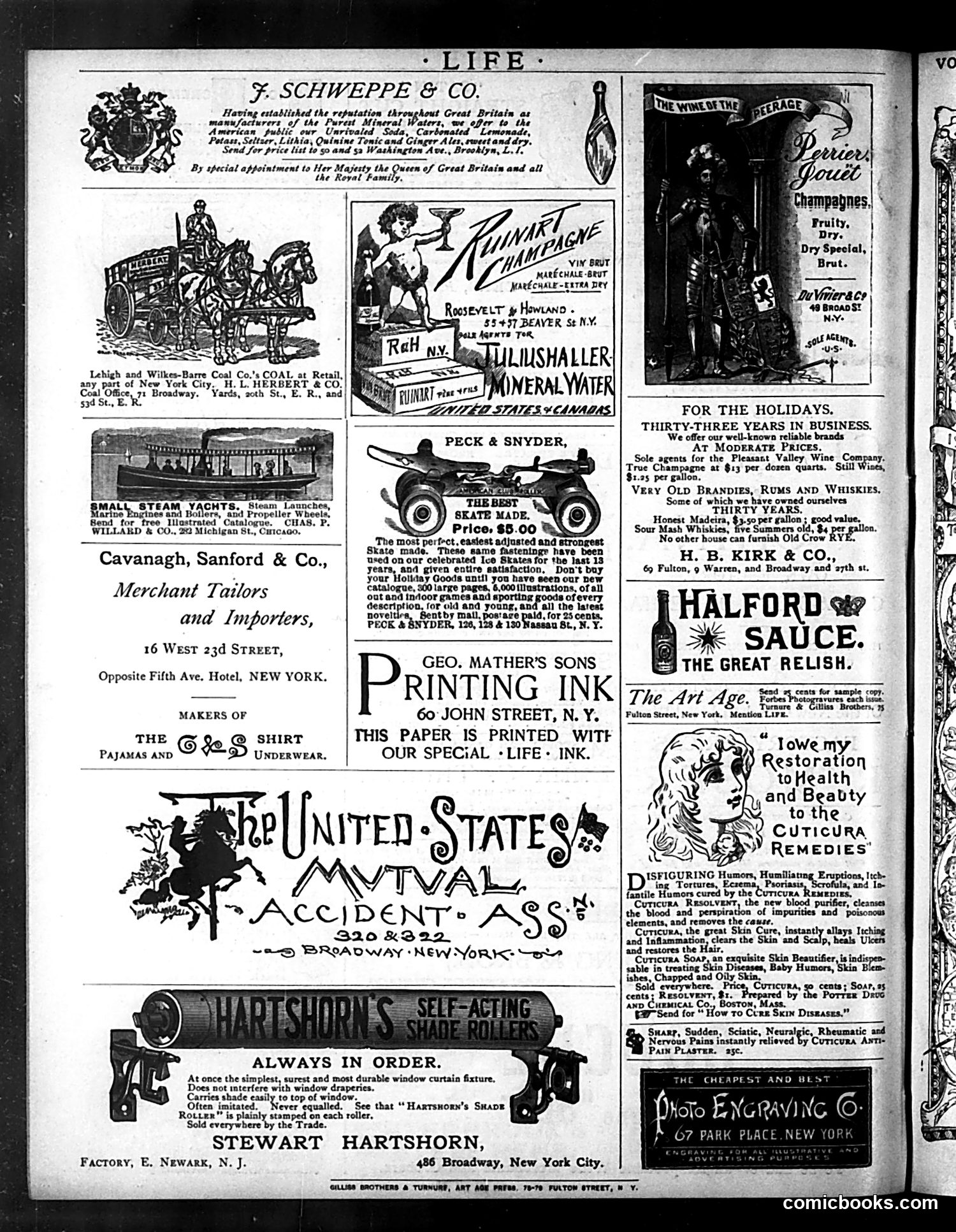 Life — February 25, 1886 — page 16 of 16
