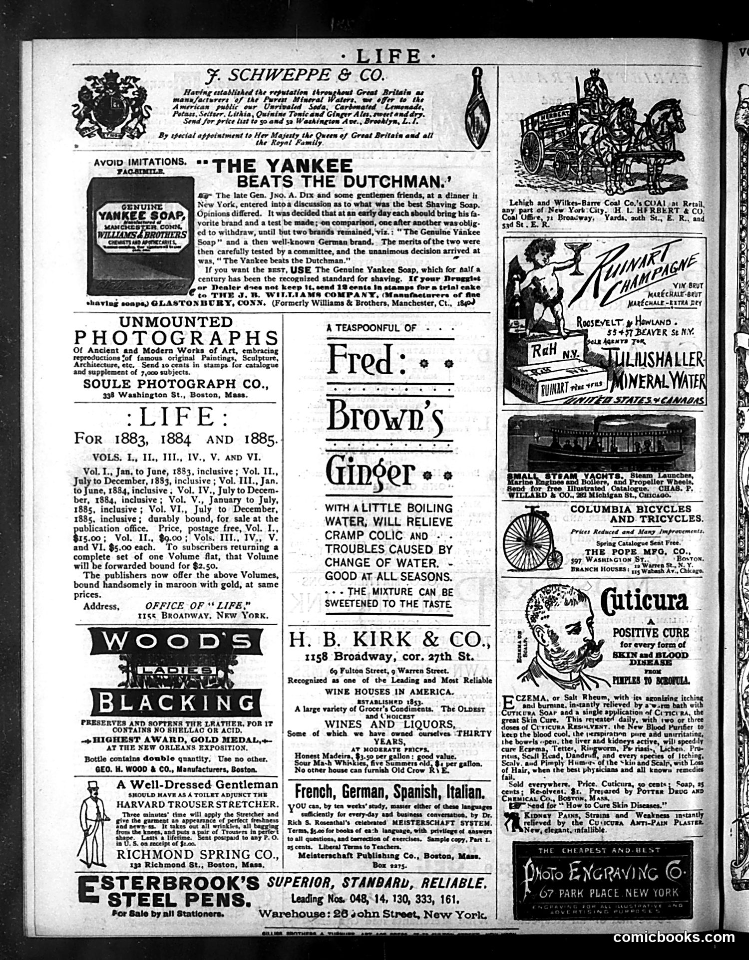 Life — March 25, 1886 — page 16 of 16