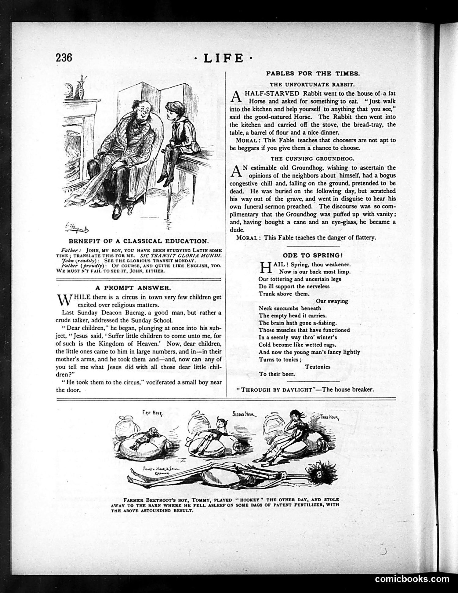 Life — April 22, 1886 — page 12 of 16