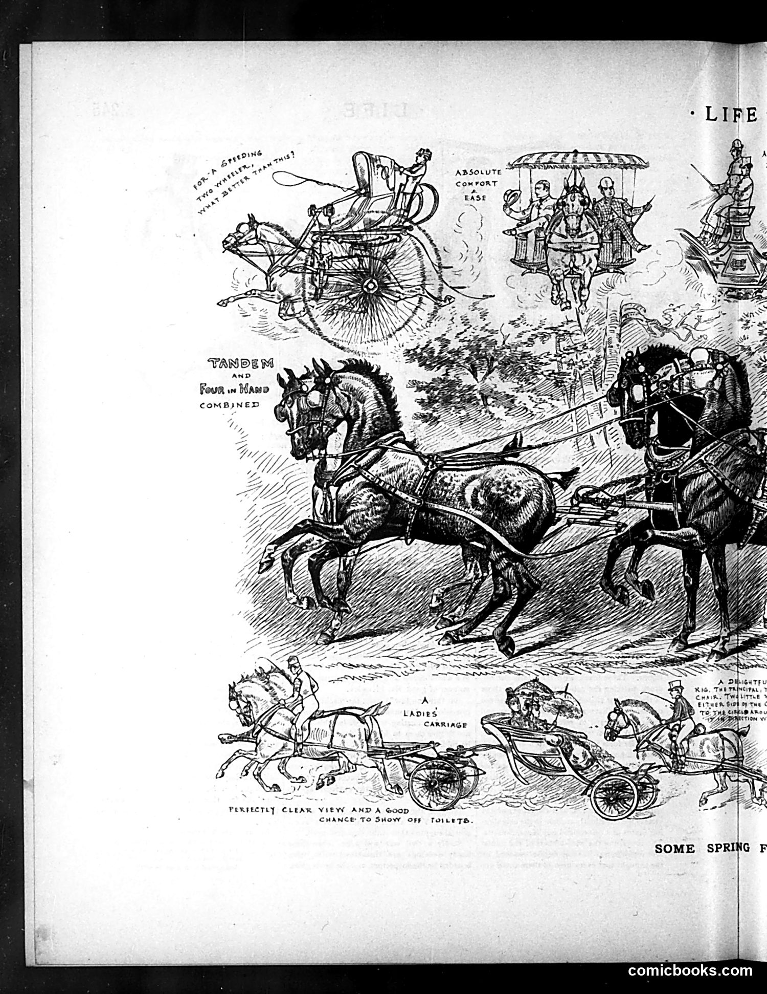 Life — April 29, 1886 — page 8 of 16