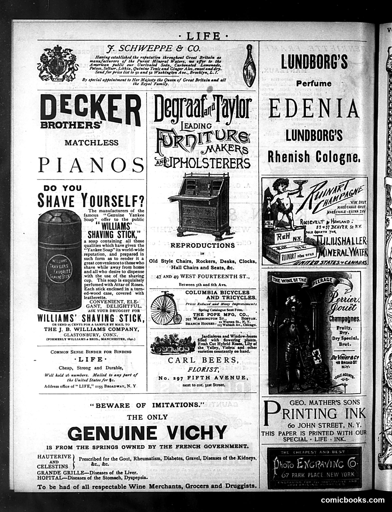 Life — April 29, 1886 — page 16 of 16