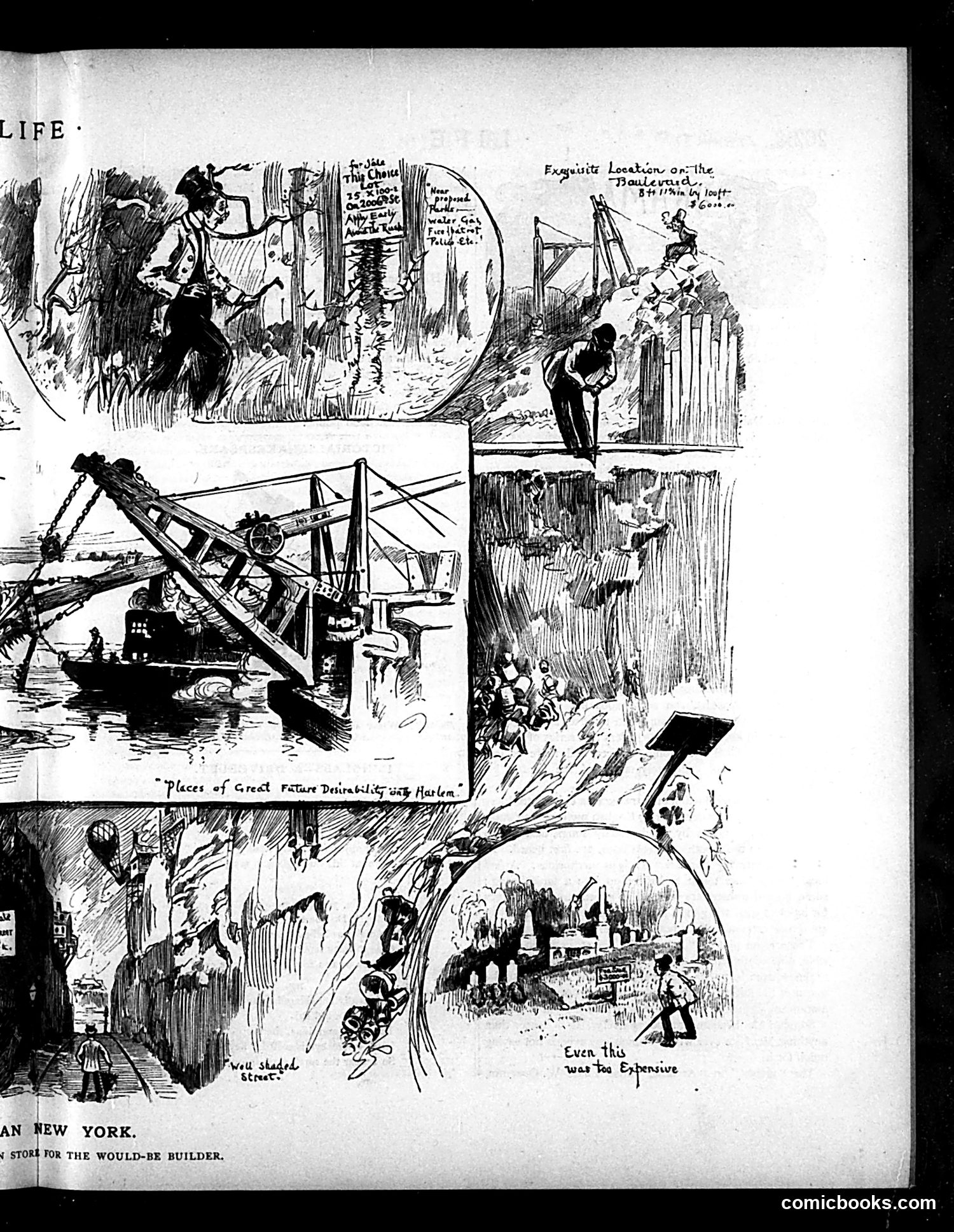 Life — May 6, 1886 — page 9 of 16