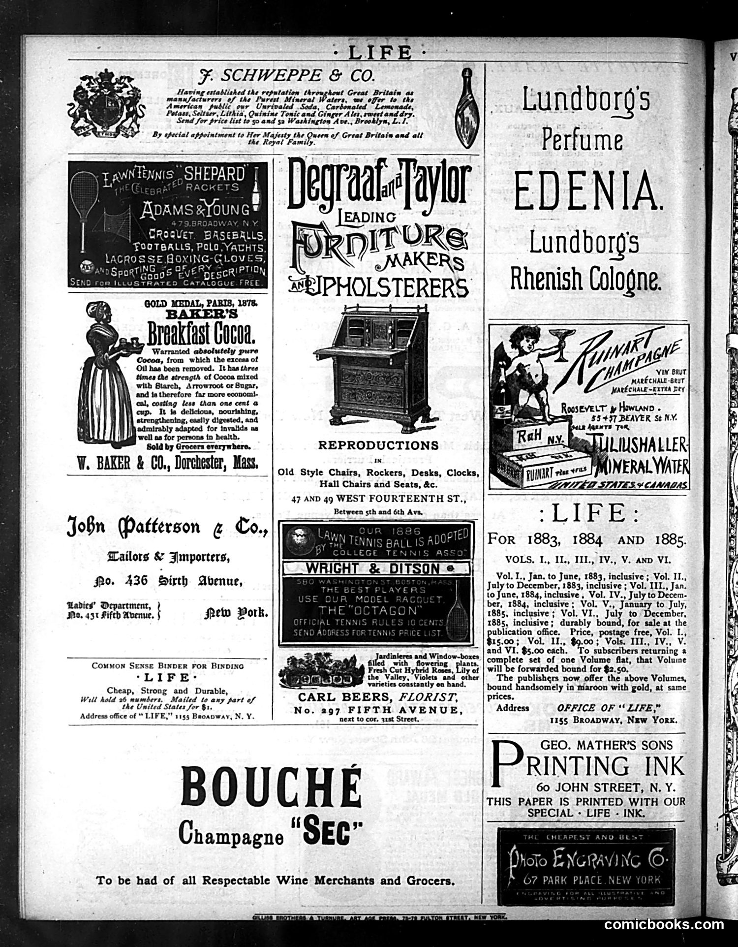 Life — May 6, 1886 — page 16 of 16