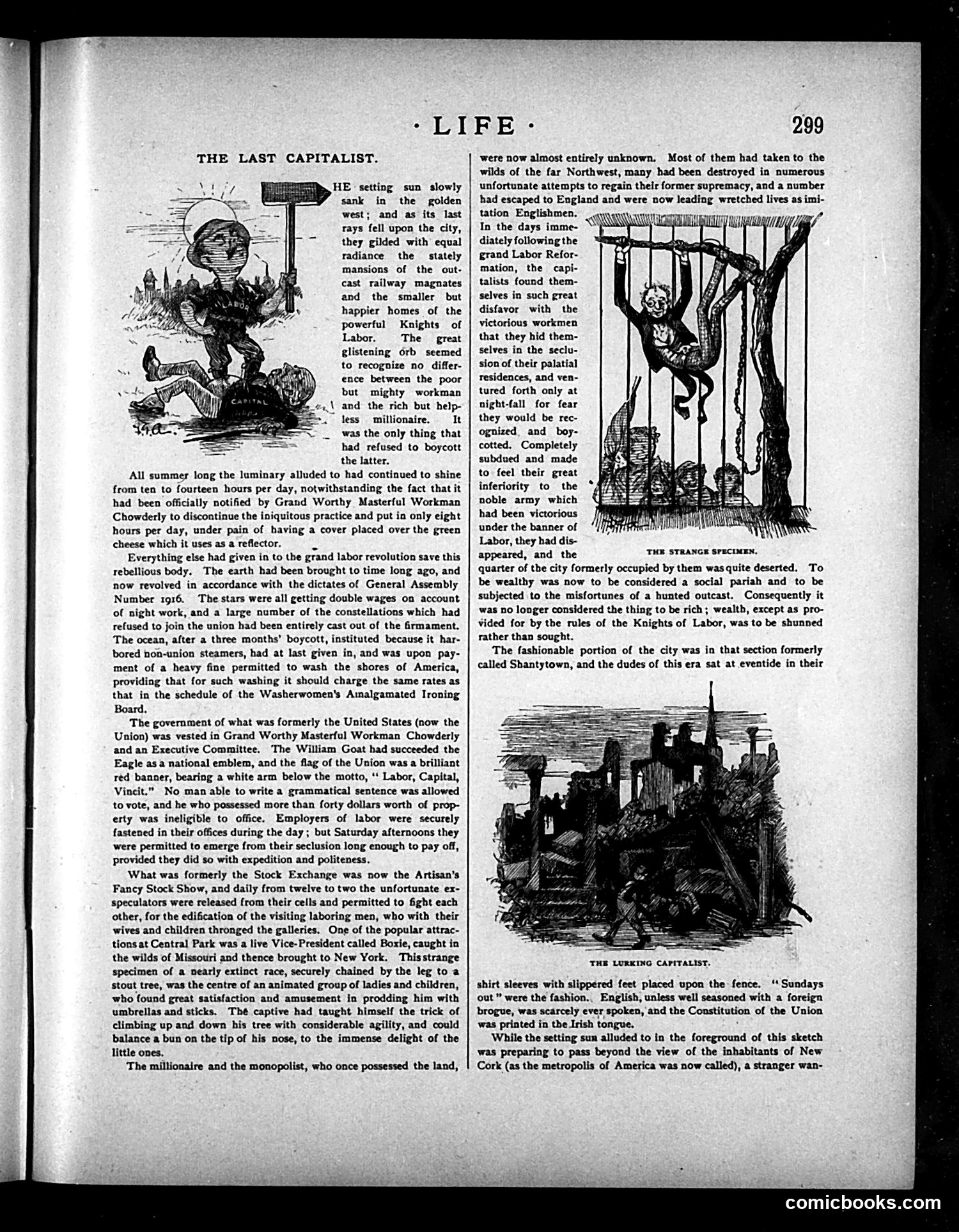 Life — May 27, 1886 — page 5 of 16