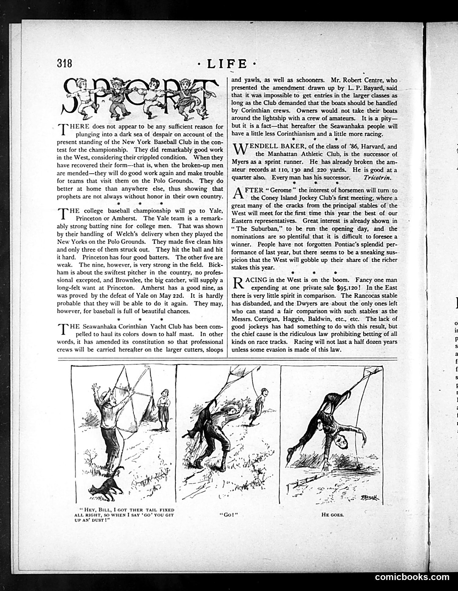 Life — June 3, 1886 — page 10 of 18
