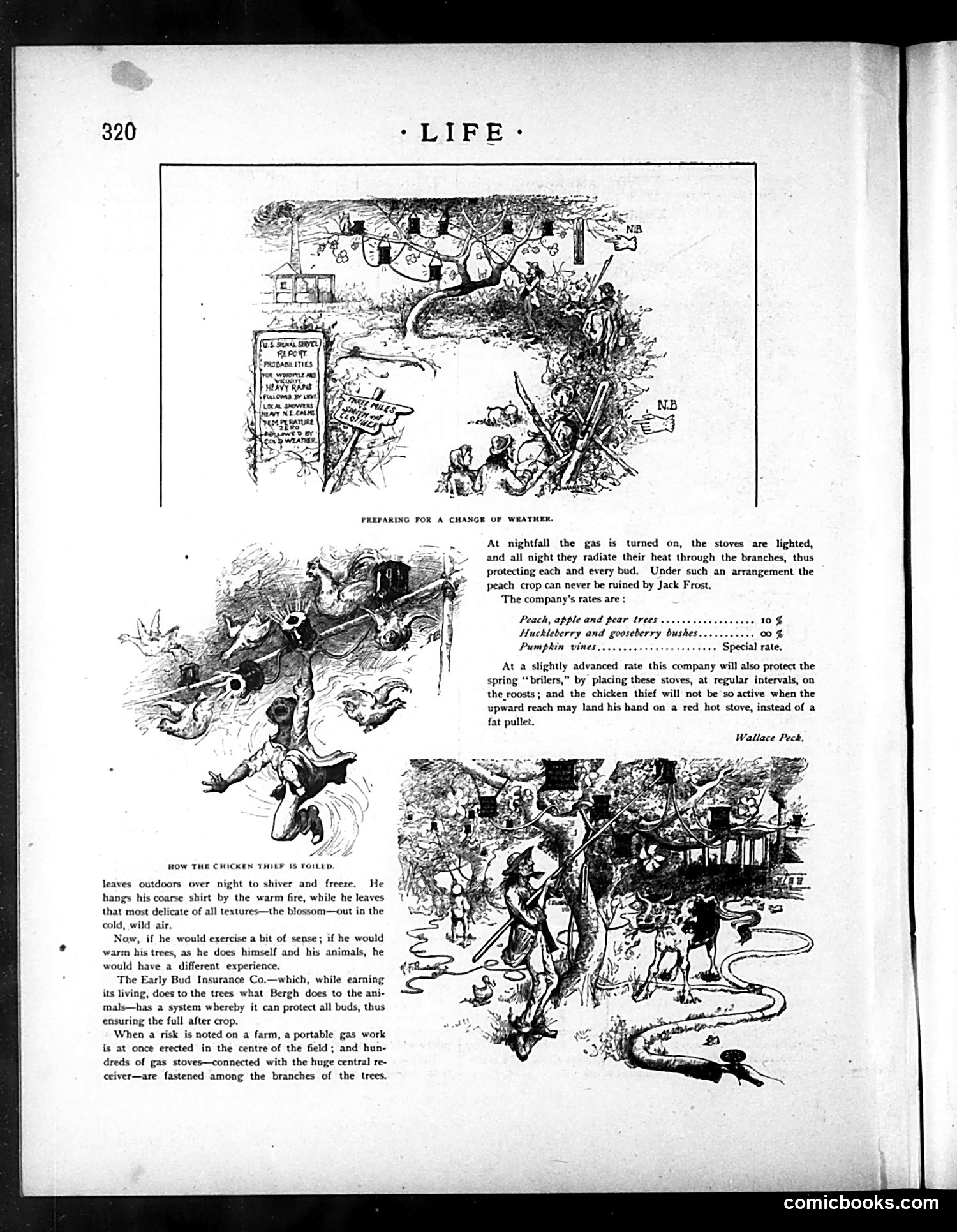 Life — June 3, 1886 — page 12 of 18