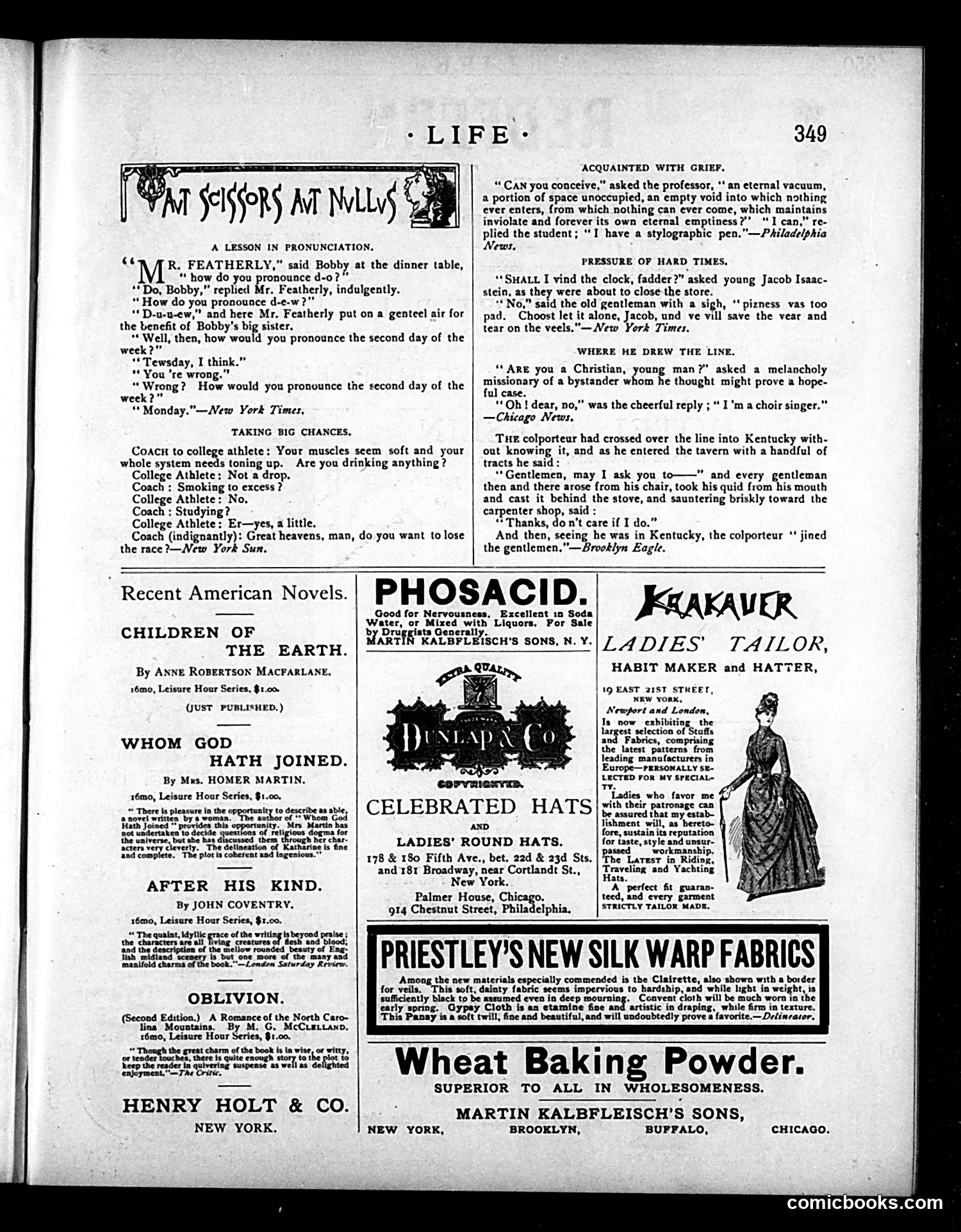Life — June 17, 1886 — page 13 of 16