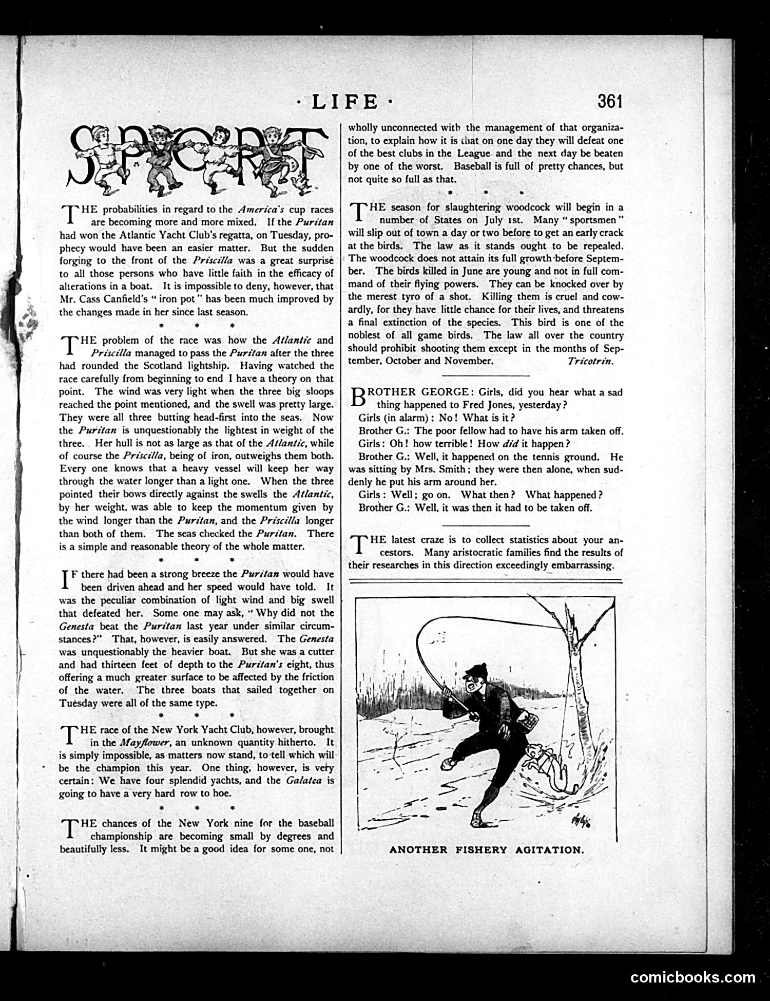 Life — June 24, 1886 — page 13 of 21