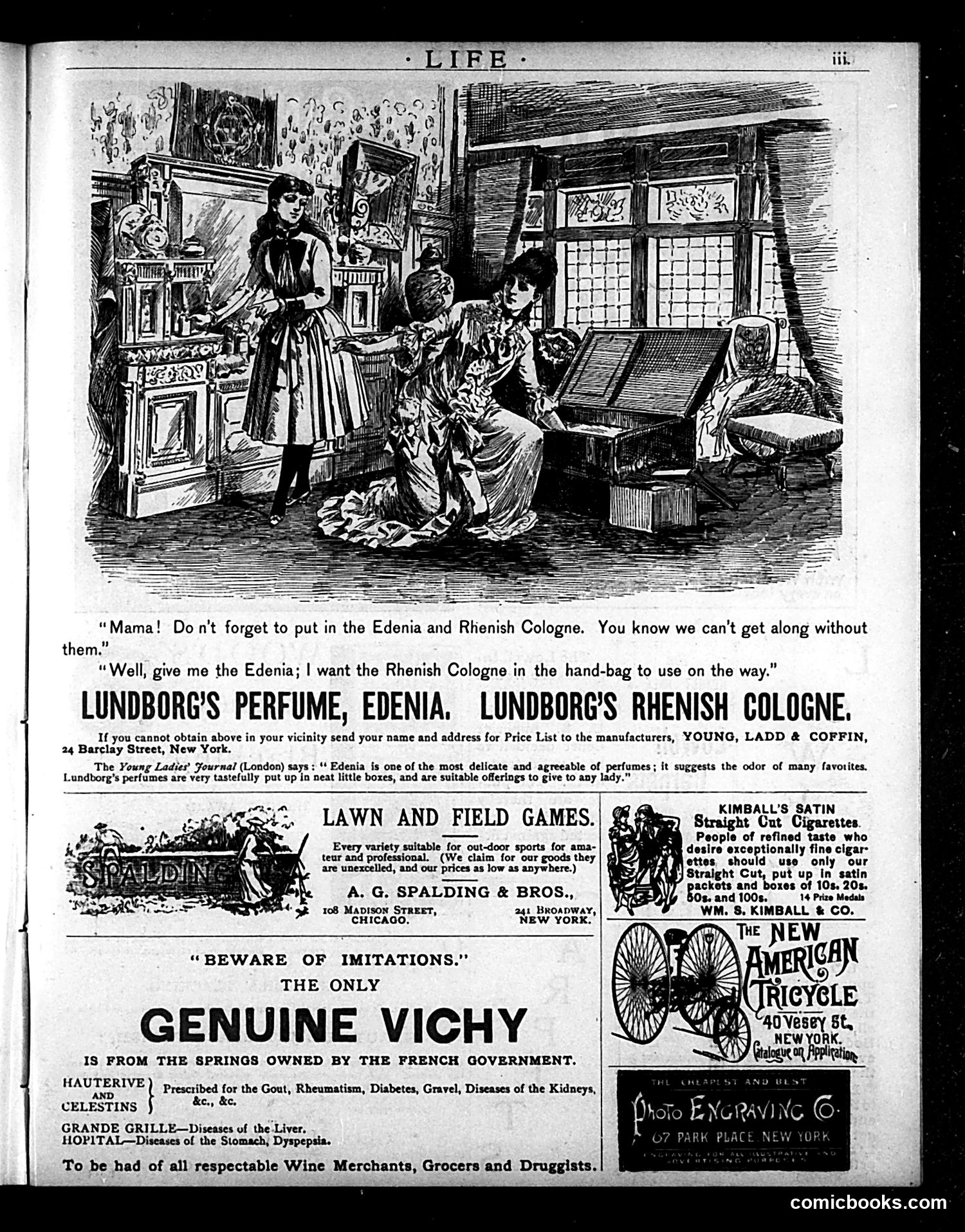 Life — June 24, 1886 — page 19 of 21