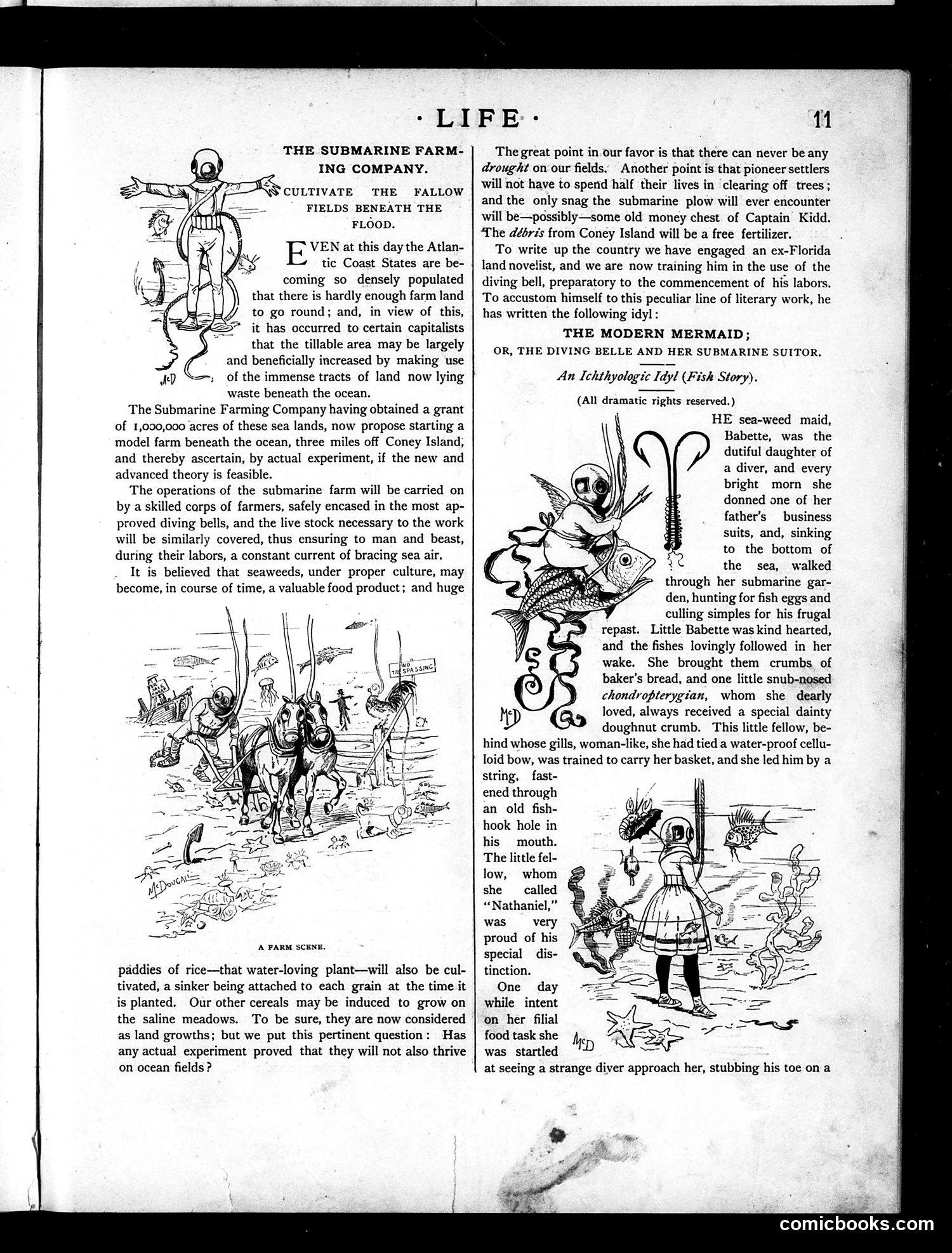 Life — July 1, 1886 — page 11 of 18