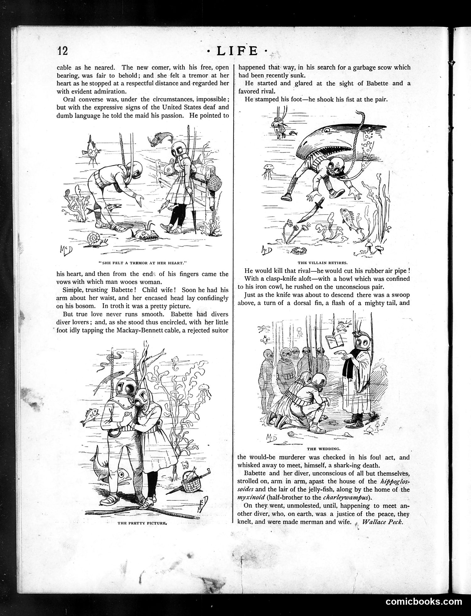 Life — July 1, 1886 — page 12 of 18