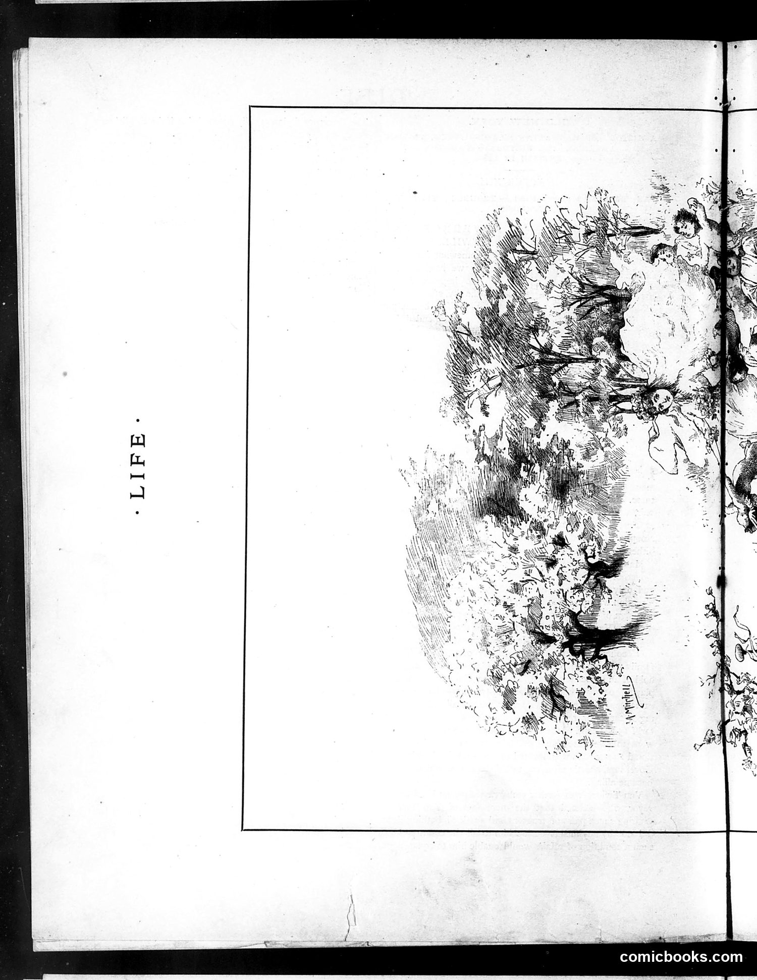 Life — July 8, 1886 — page 8 of 16