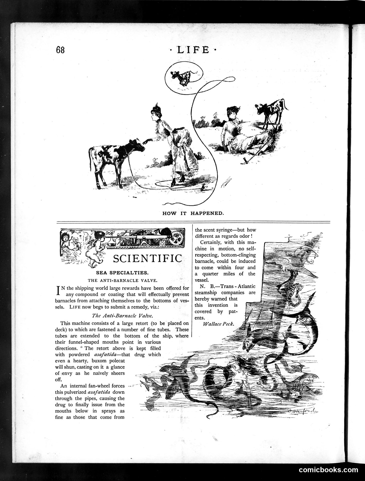 Life — July 29, 1886 — page 12 of 16