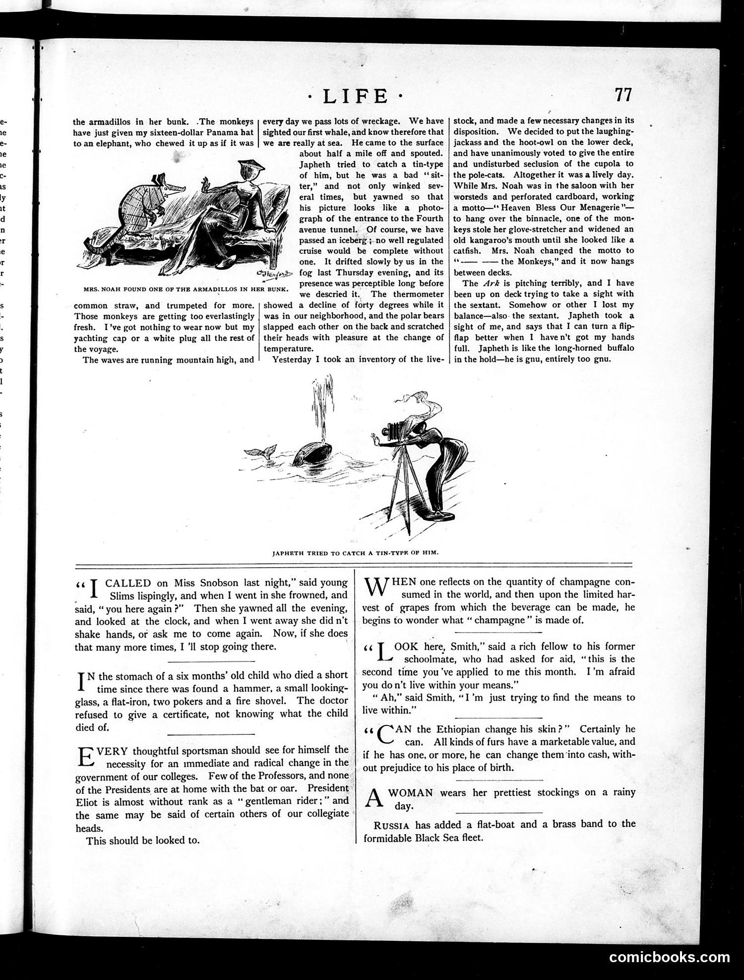 Life — August 5, 1886 — page 7 of 16