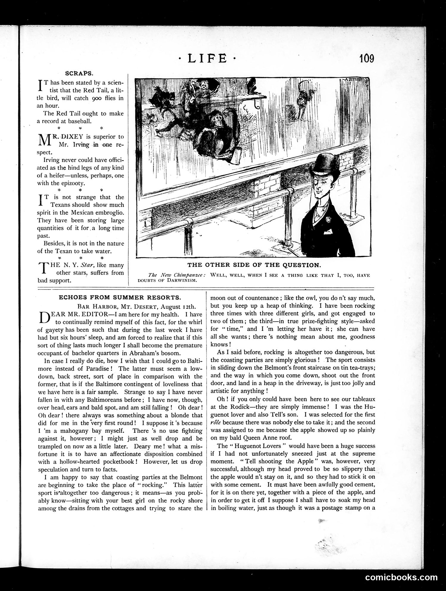 Life — August 19, 1886 — page 11 of 16