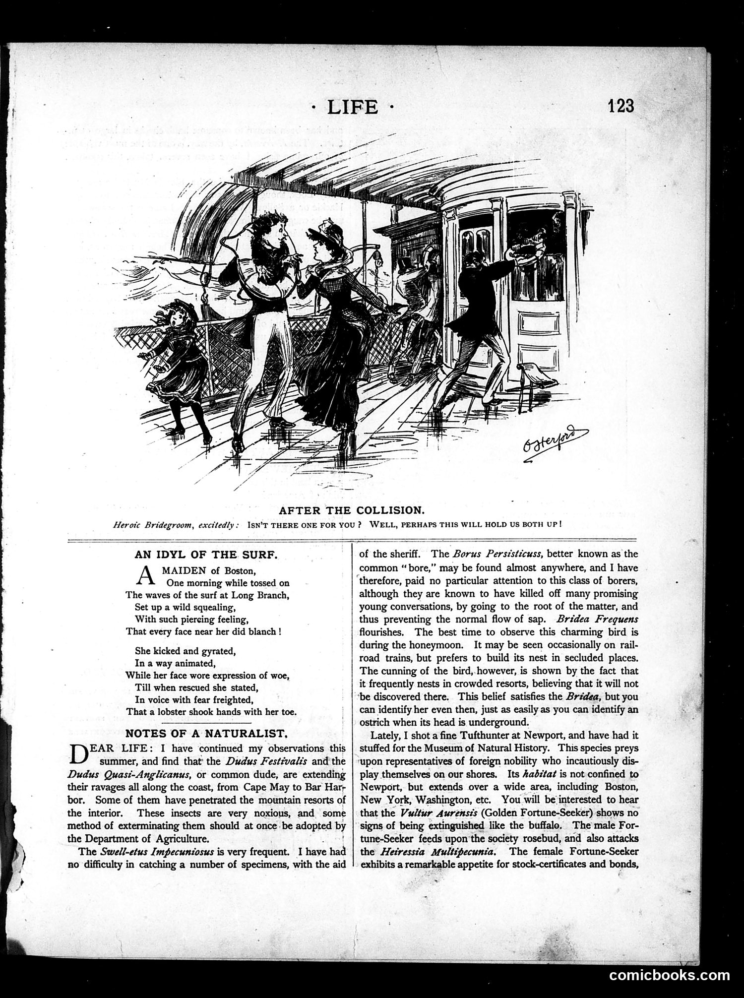 Life — August 26, 1886 — page 11 of 16