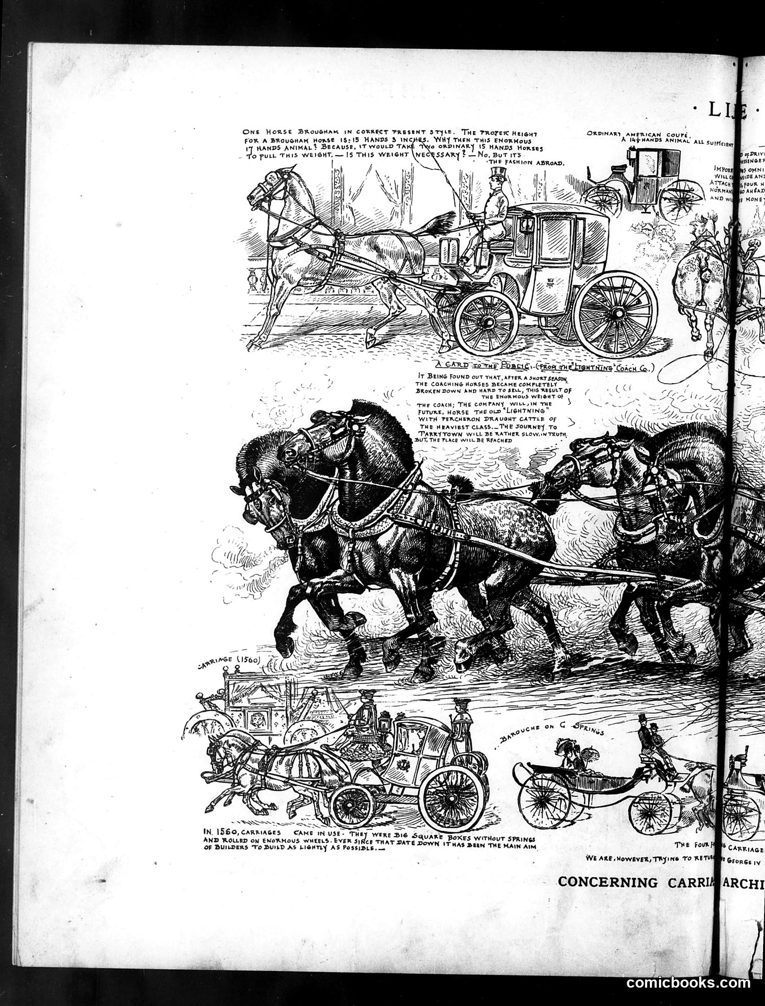 Life — September 2, 1886 — page 8 of 16