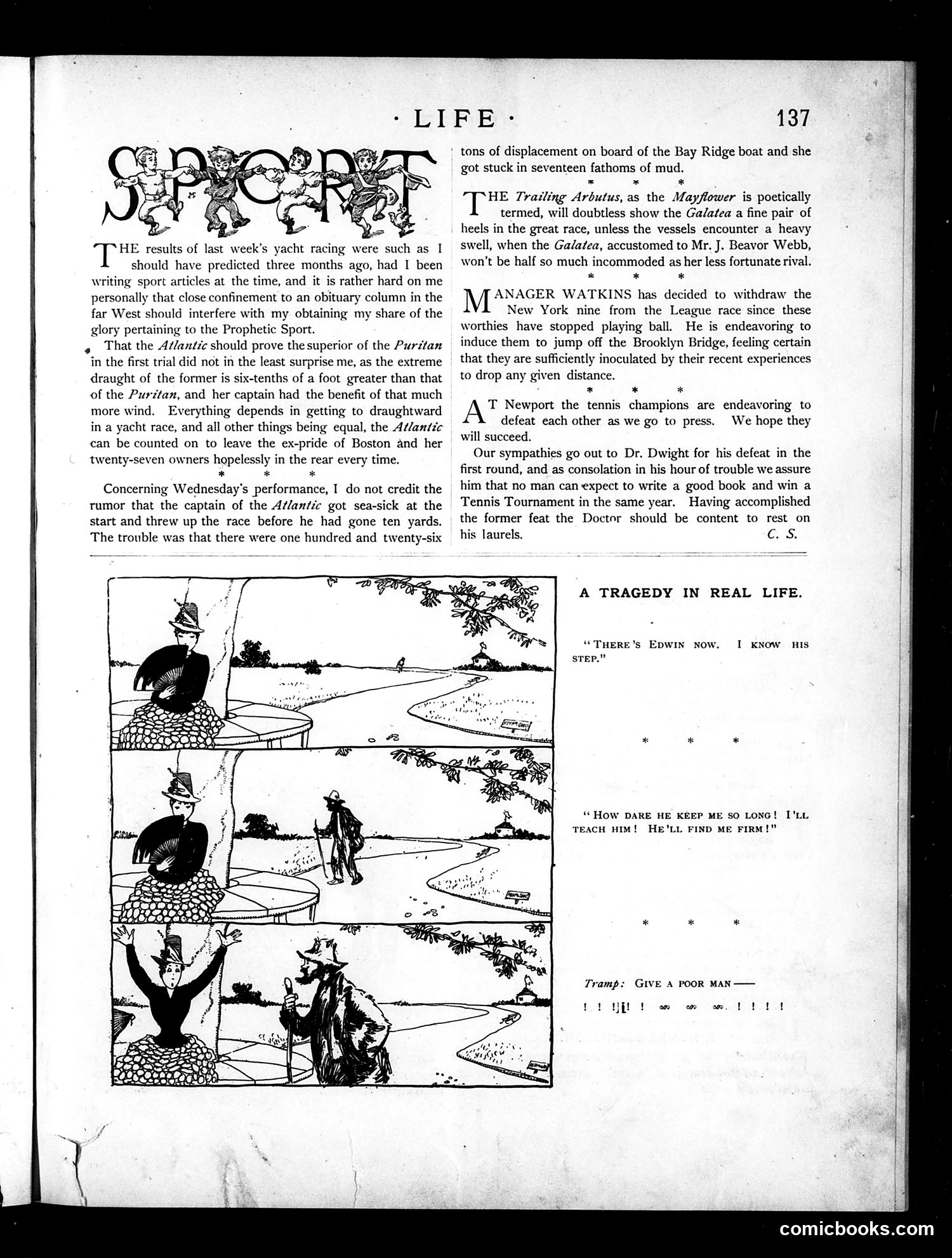 Life — September 2, 1886 — page 11 of 16
