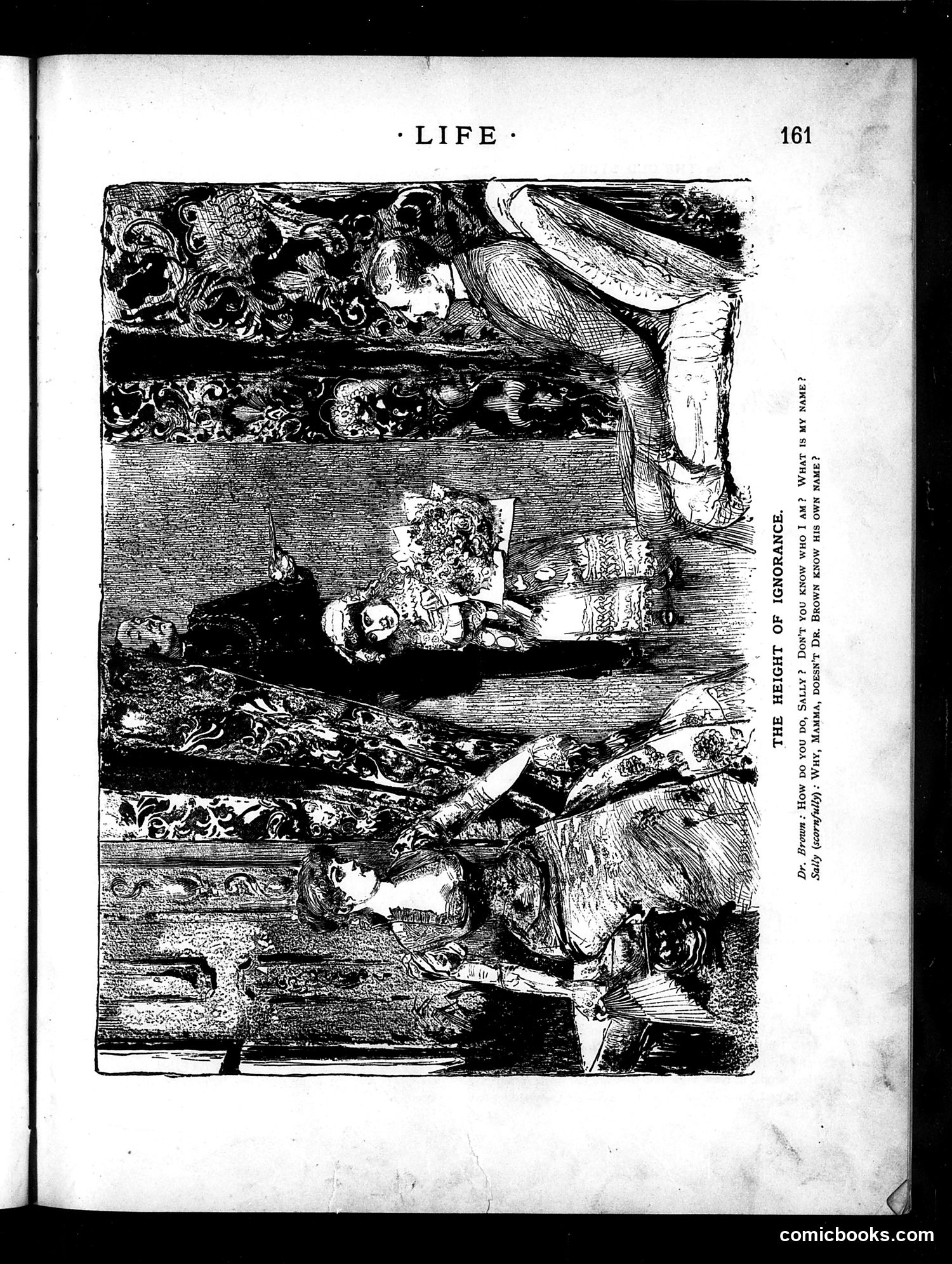 Life — September 16, 1886 — page 5 of 16