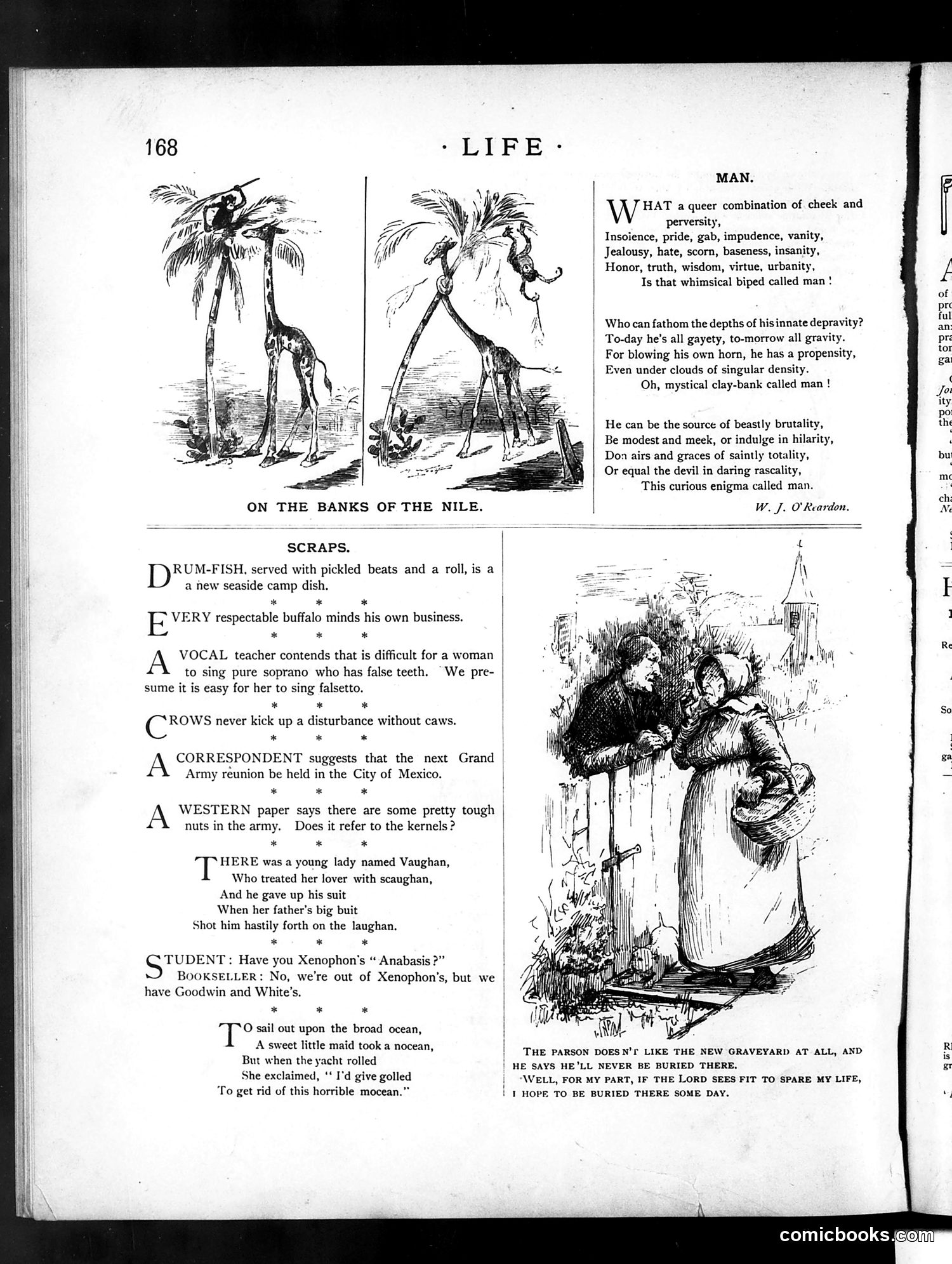 Life — September 16, 1886 — page 12 of 16