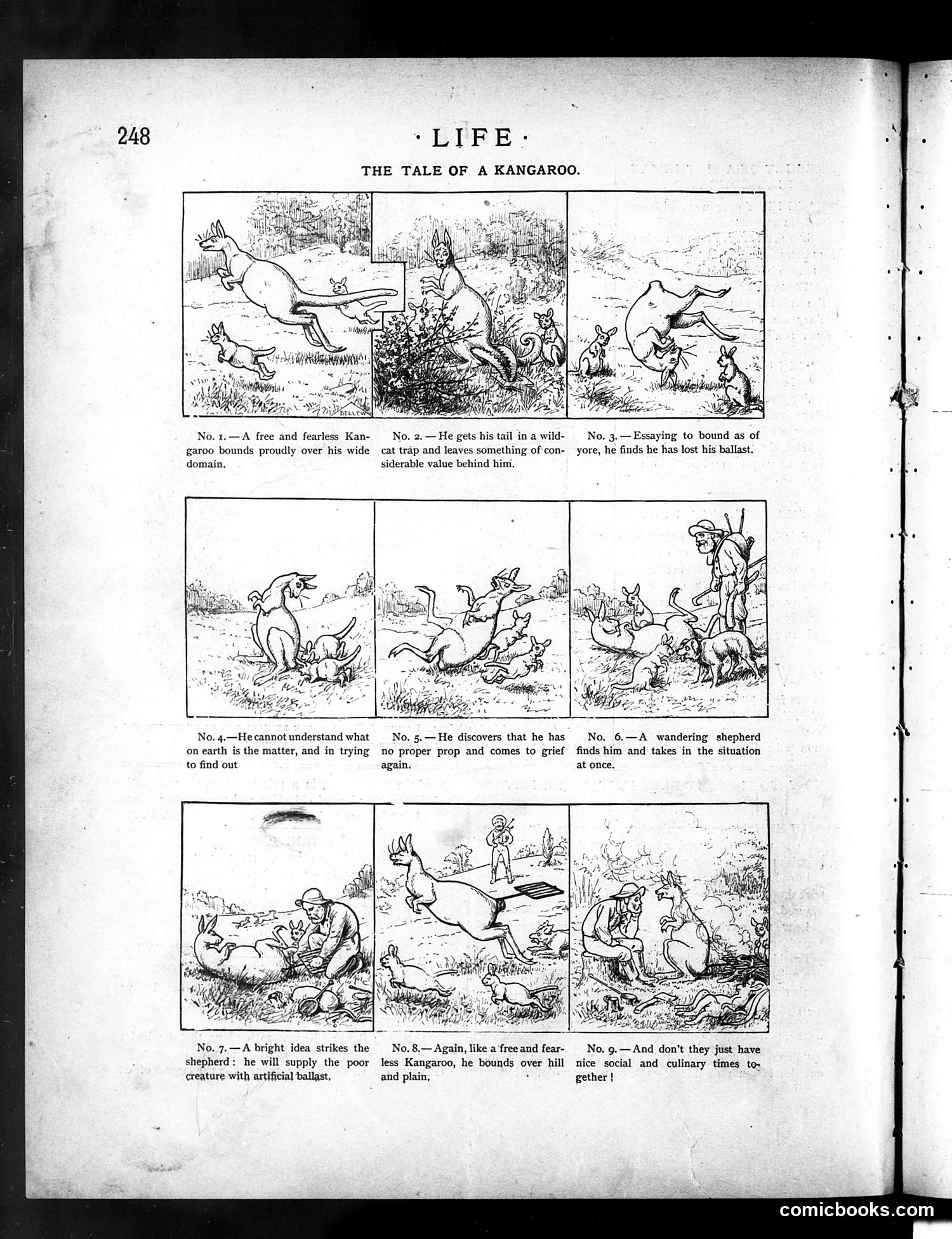 Life — October 21, 1886 — page 12 of 16