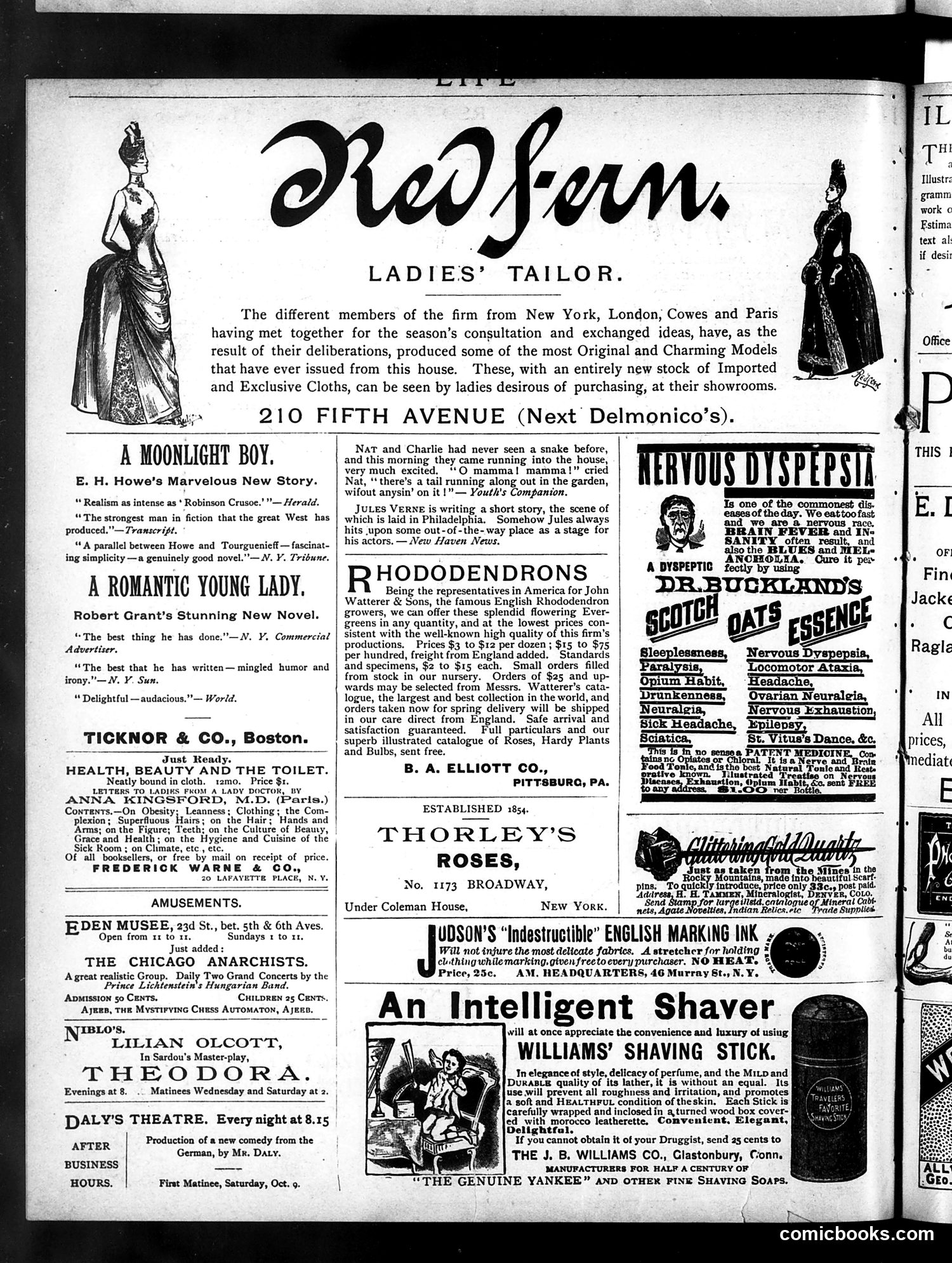 Life — October 21, 1886 — page 14 of 16