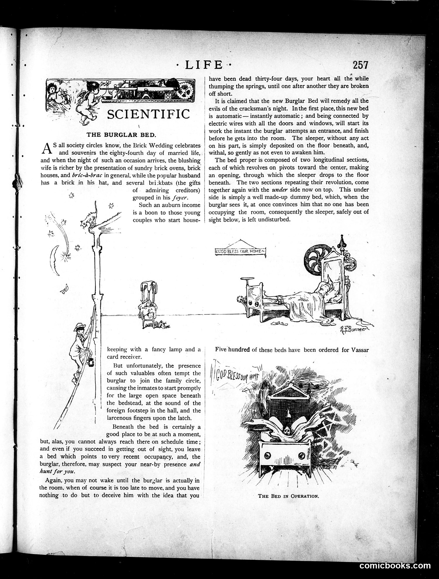 Life — October 28, 1886 — page 5 of 16