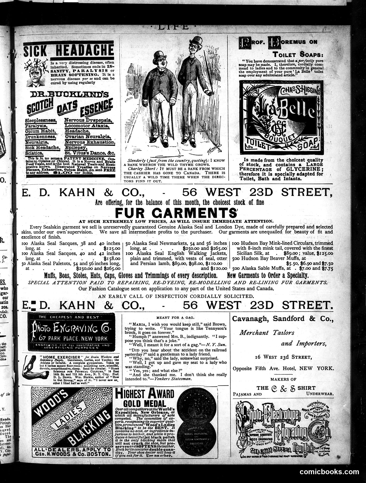 Life — October 28, 1886 — page 15 of 16