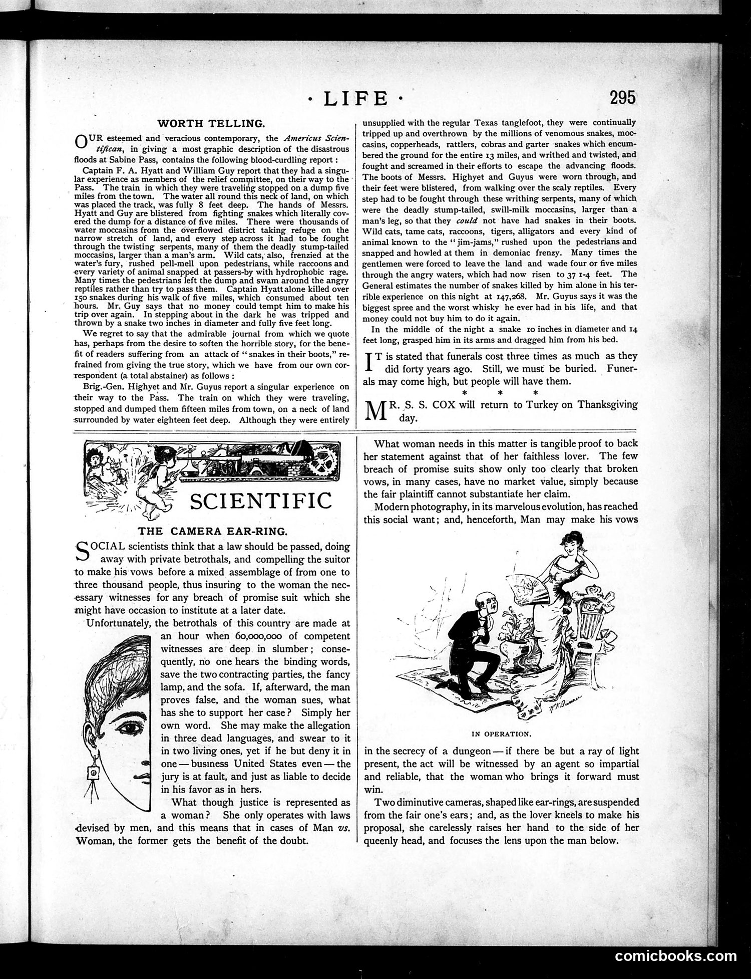 Life — November 11, 1886 — page 11 of 16