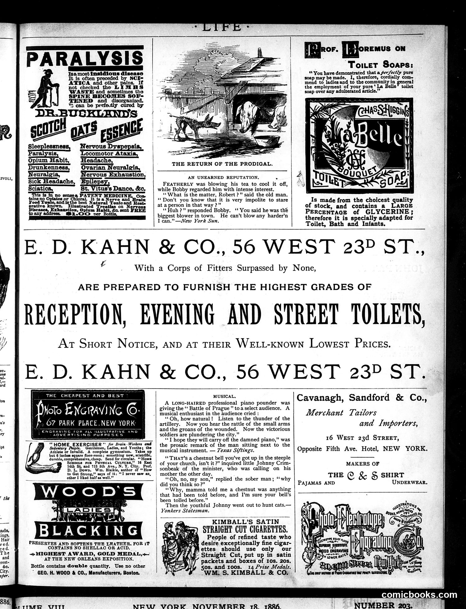 Life — November 11, 1886 — page 15 of 16