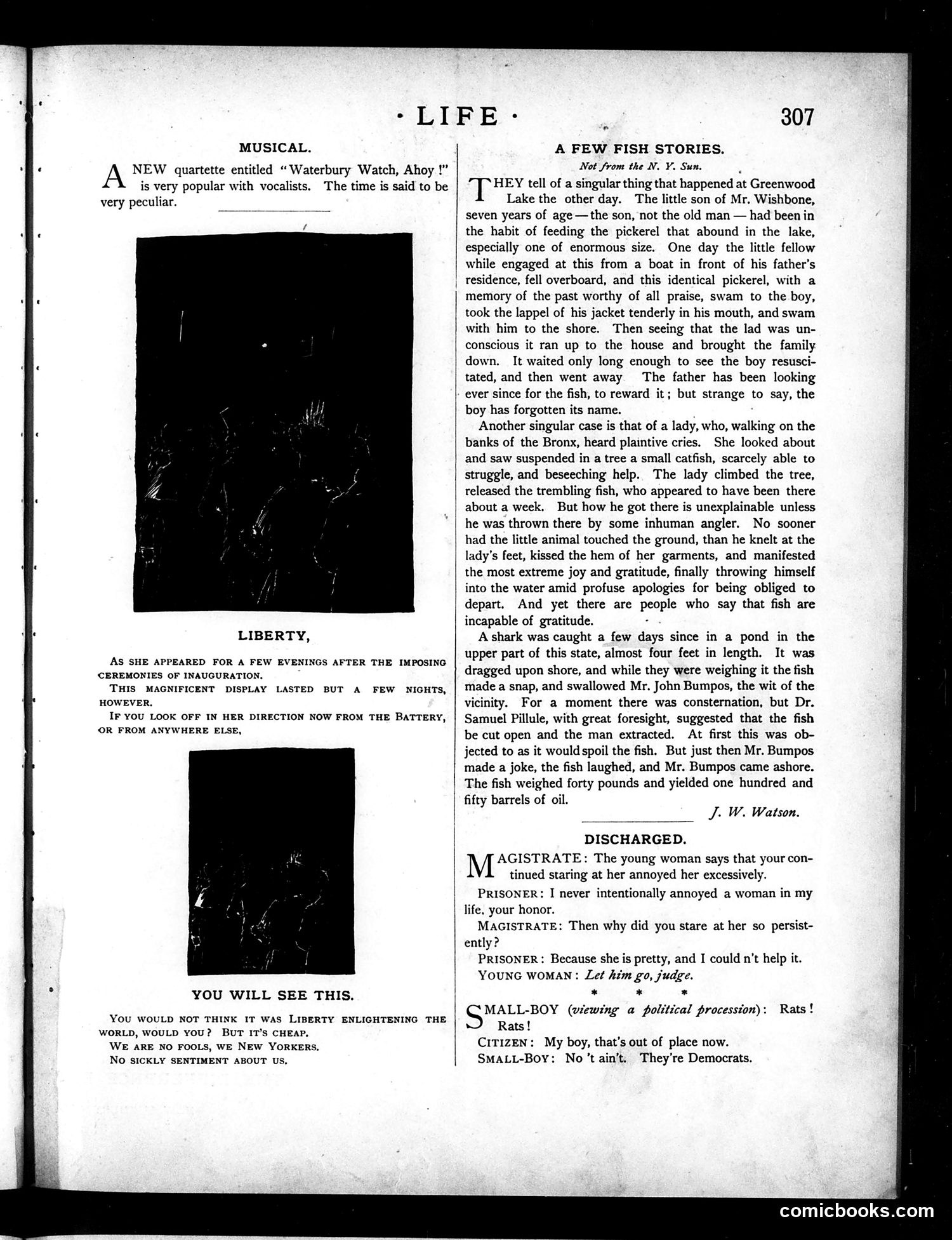 Life — November 18, 1886 — page 7 of 16