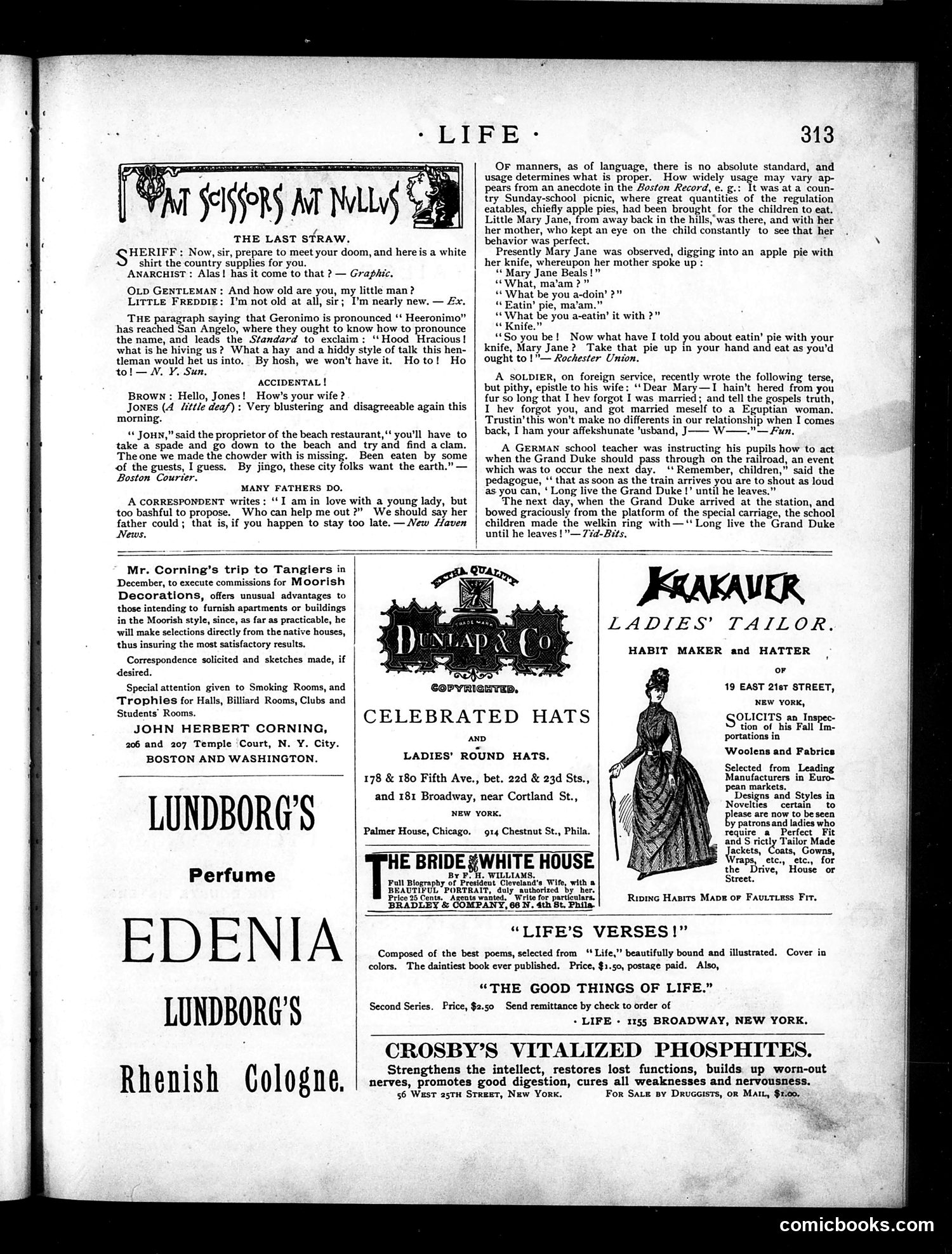 Life — November 18, 1886 — page 13 of 16