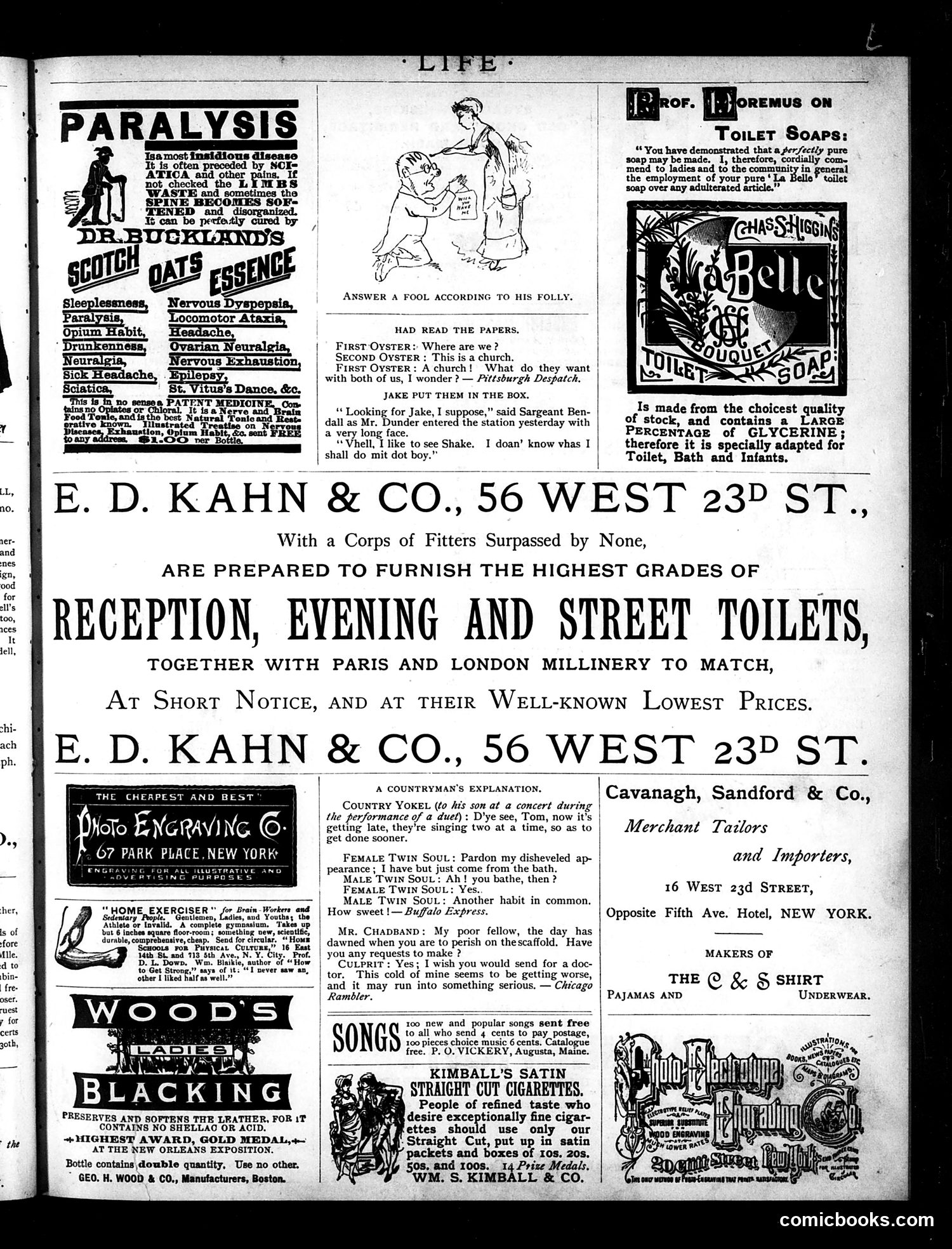 Life — November 18, 1886 — page 15 of 16